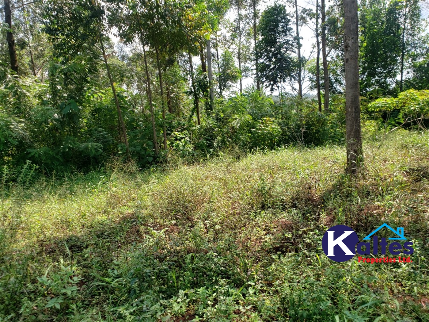 Agricultural Land for sale in Buyikwe Buyikwe