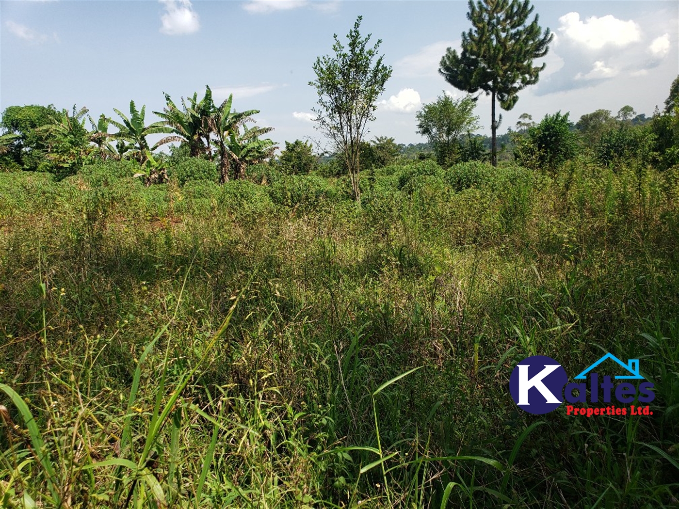 Agricultural Land for sale in Buyikwe Buyikwe