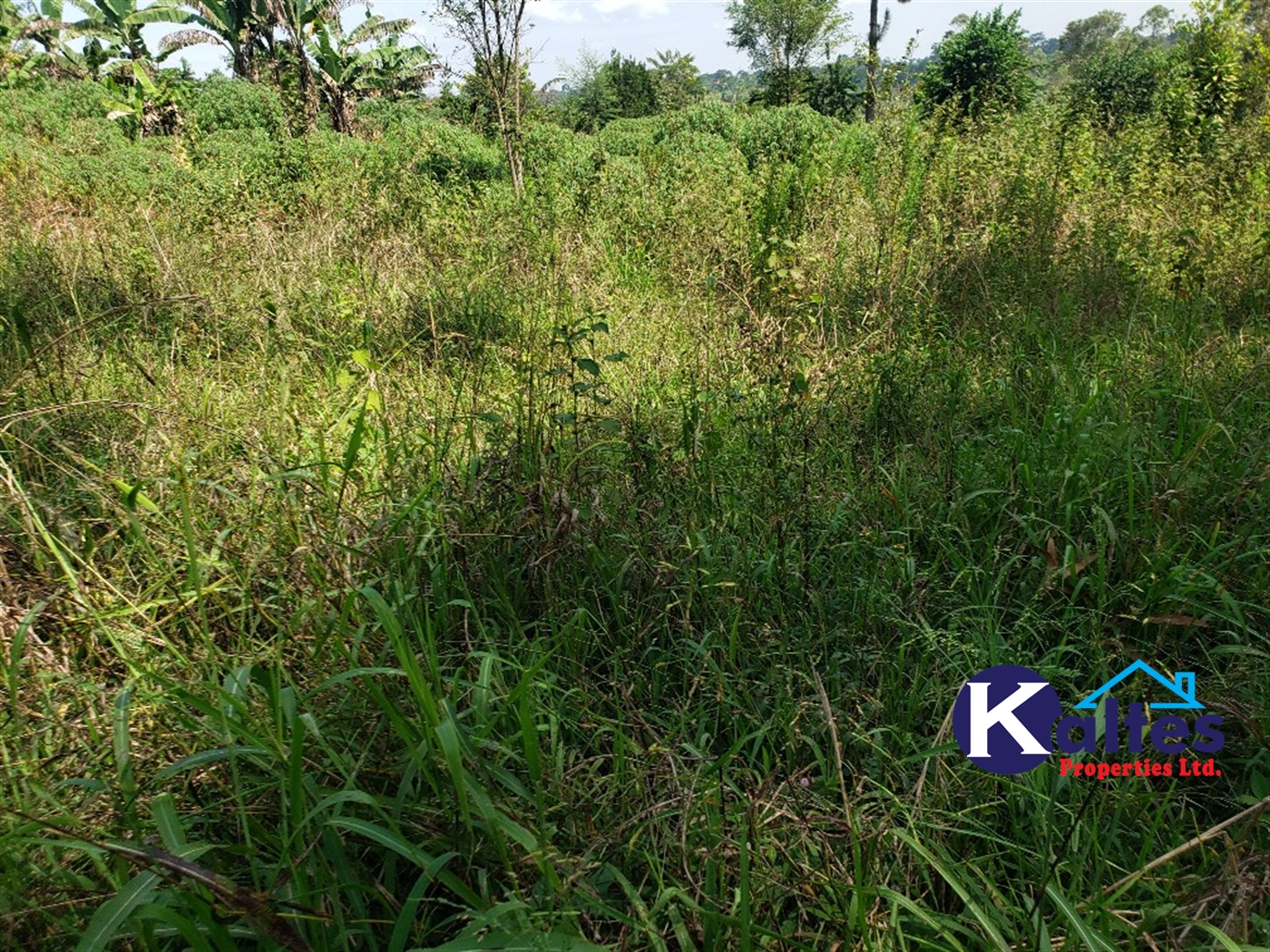 Agricultural Land for sale in Buyikwe Buyikwe