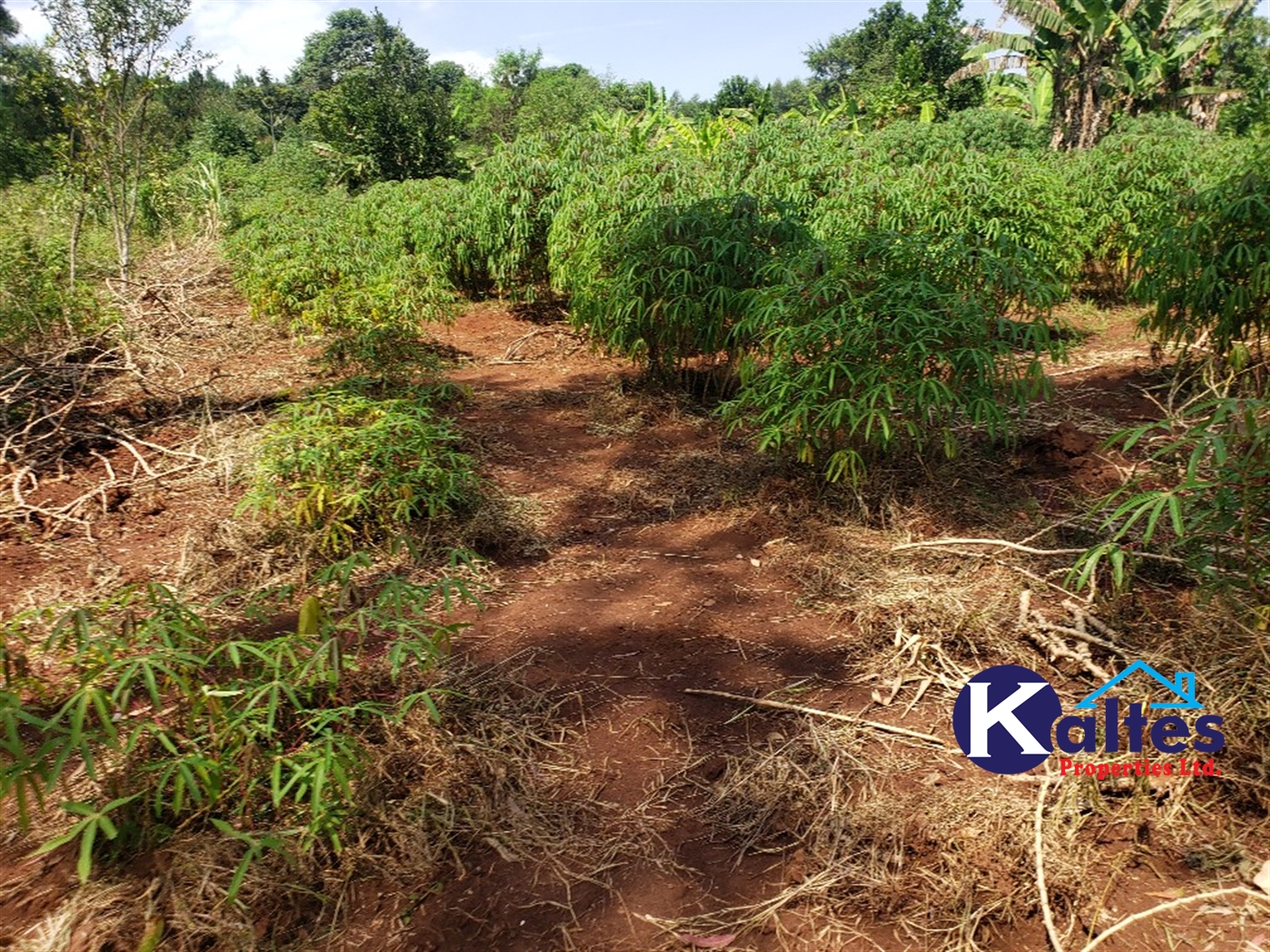 Agricultural Land for sale in Buyikwe Buyikwe