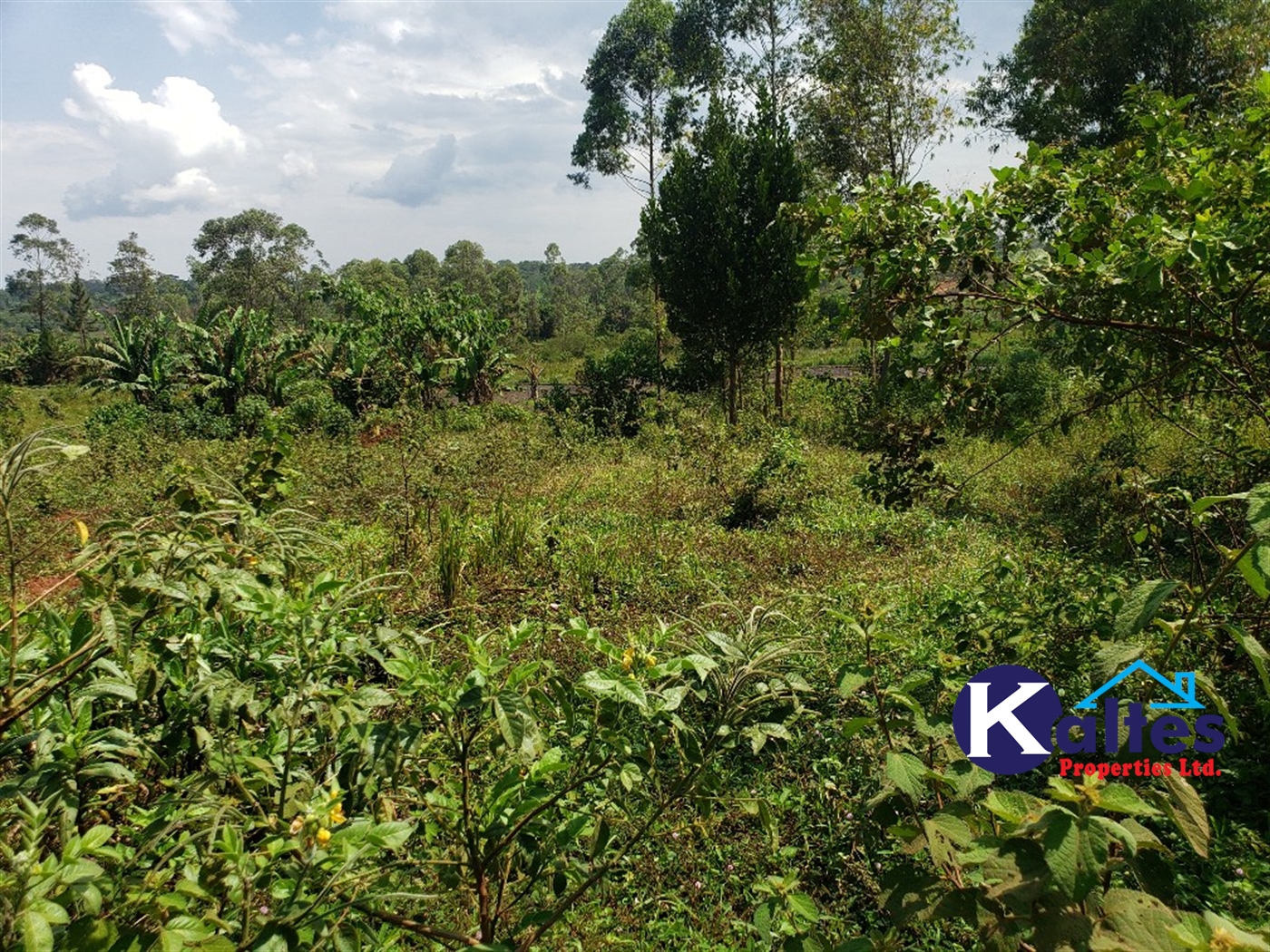 Agricultural Land for sale in Buyikwe Buyikwe