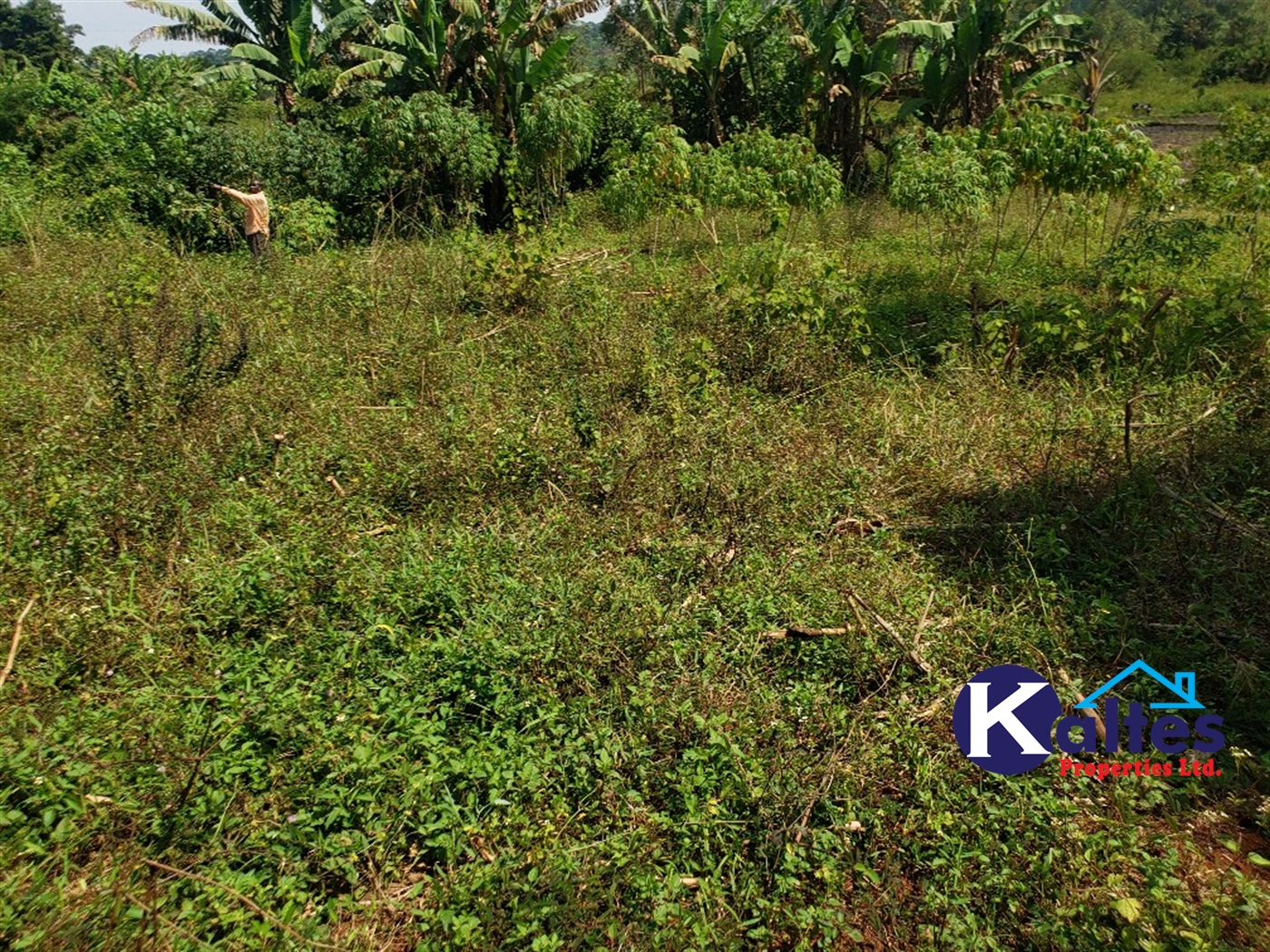 Agricultural Land for sale in Buyikwe Buyikwe