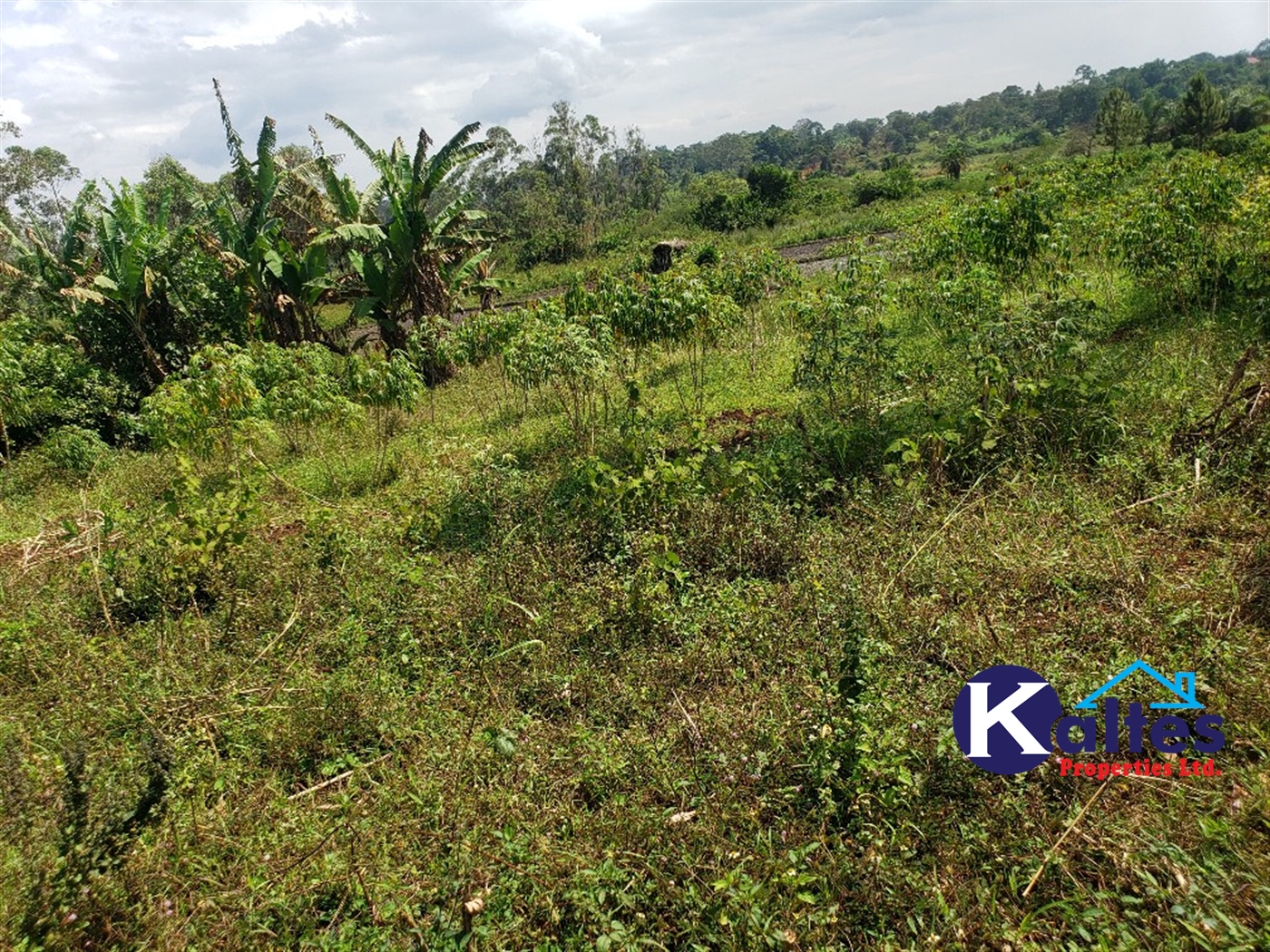 Agricultural Land for sale in Buyikwe Buyikwe