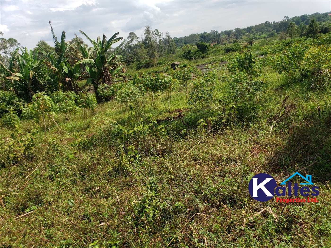 Agricultural Land for sale in Buyikwe Buyikwe