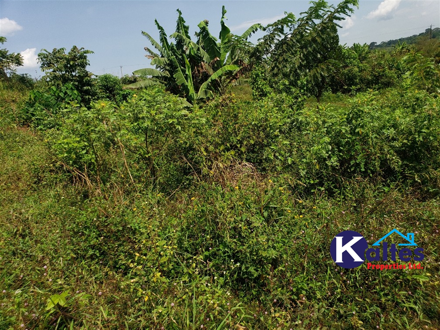 Agricultural Land for sale in Buyikwe Buyikwe