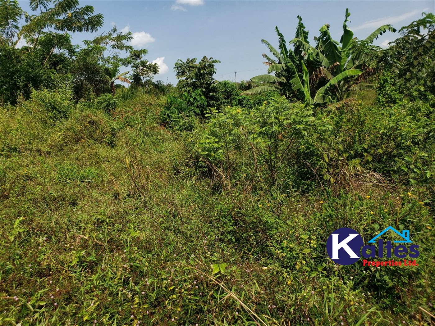 Agricultural Land for sale in Buyikwe Buyikwe