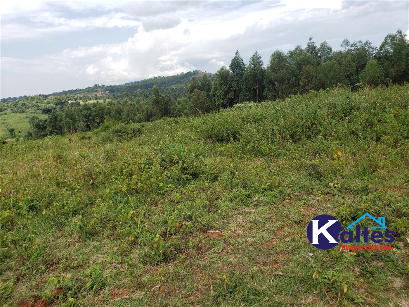 Agricultural Land for sale in Buyikwe Buyikwe