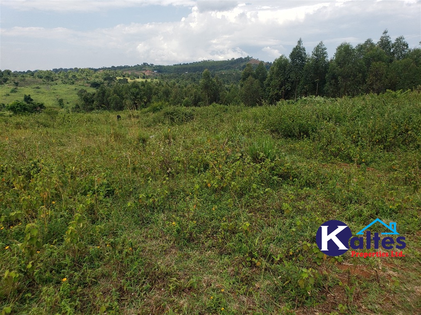 Agricultural Land for sale in Buyikwe Buyikwe