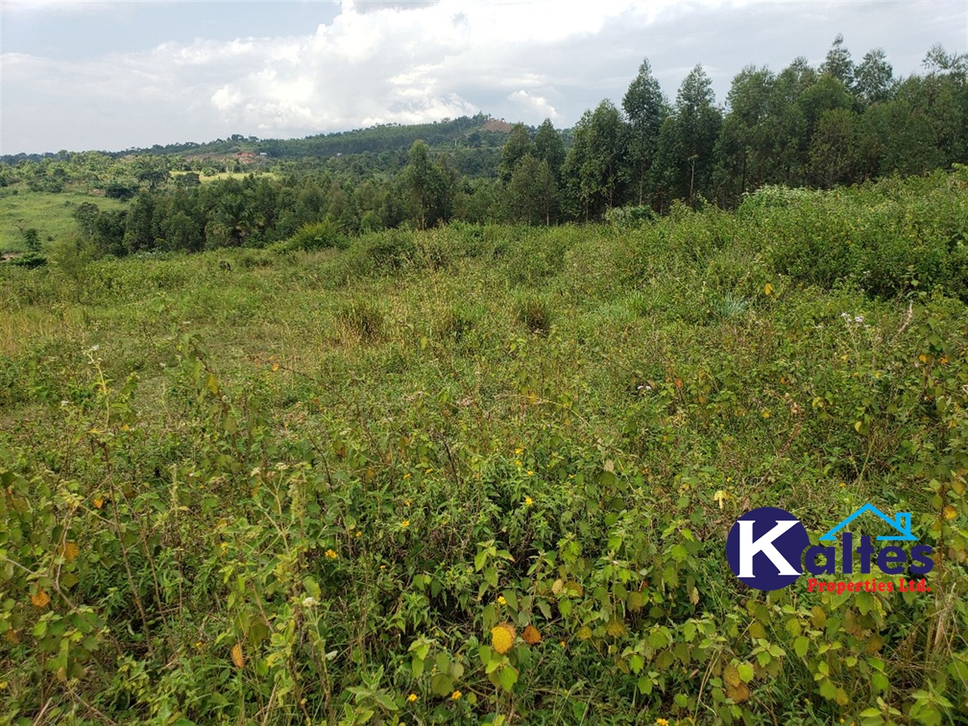 Agricultural Land for sale in Buyikwe Buyikwe