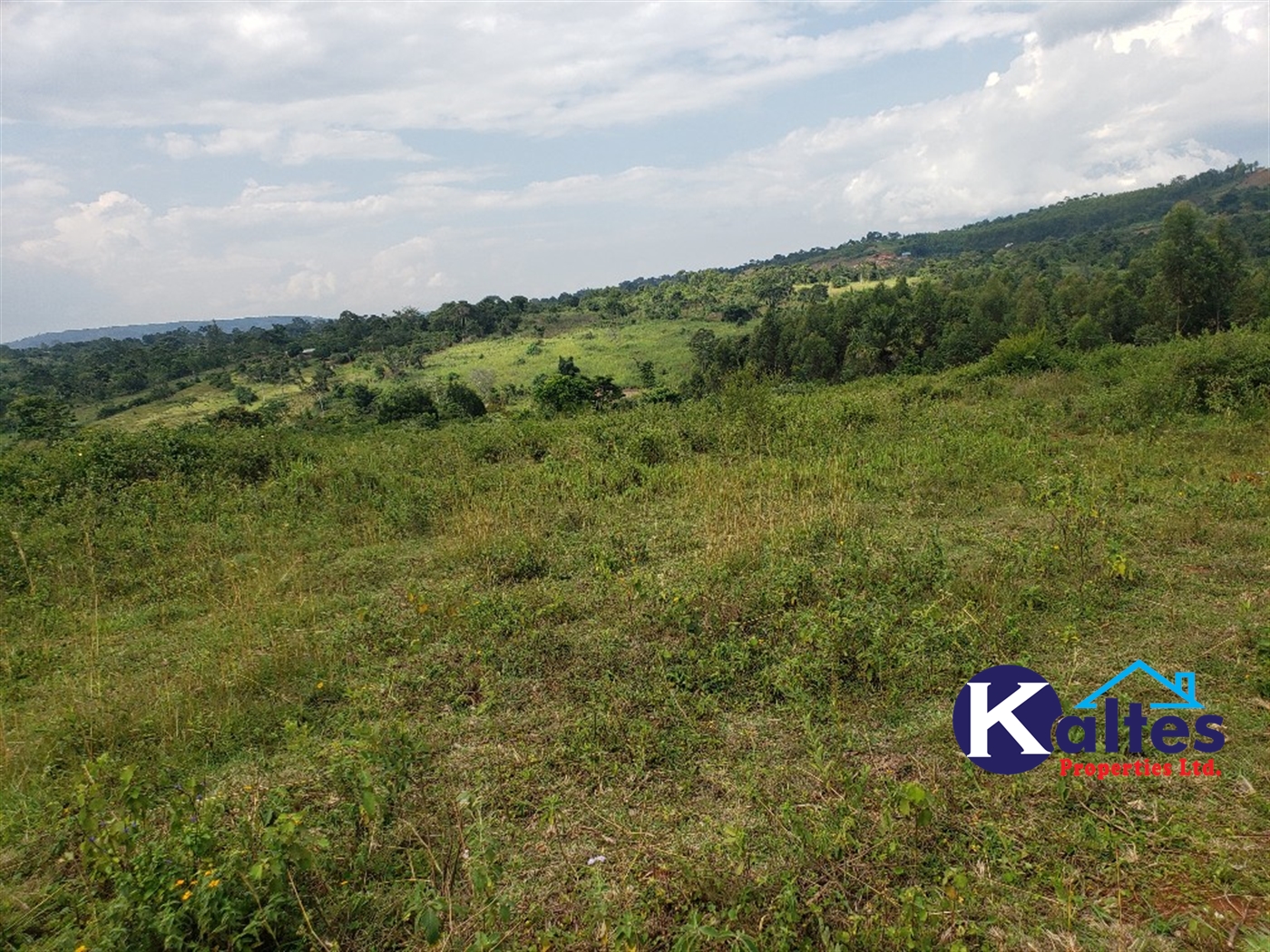 Agricultural Land for sale in Buyikwe Buyikwe