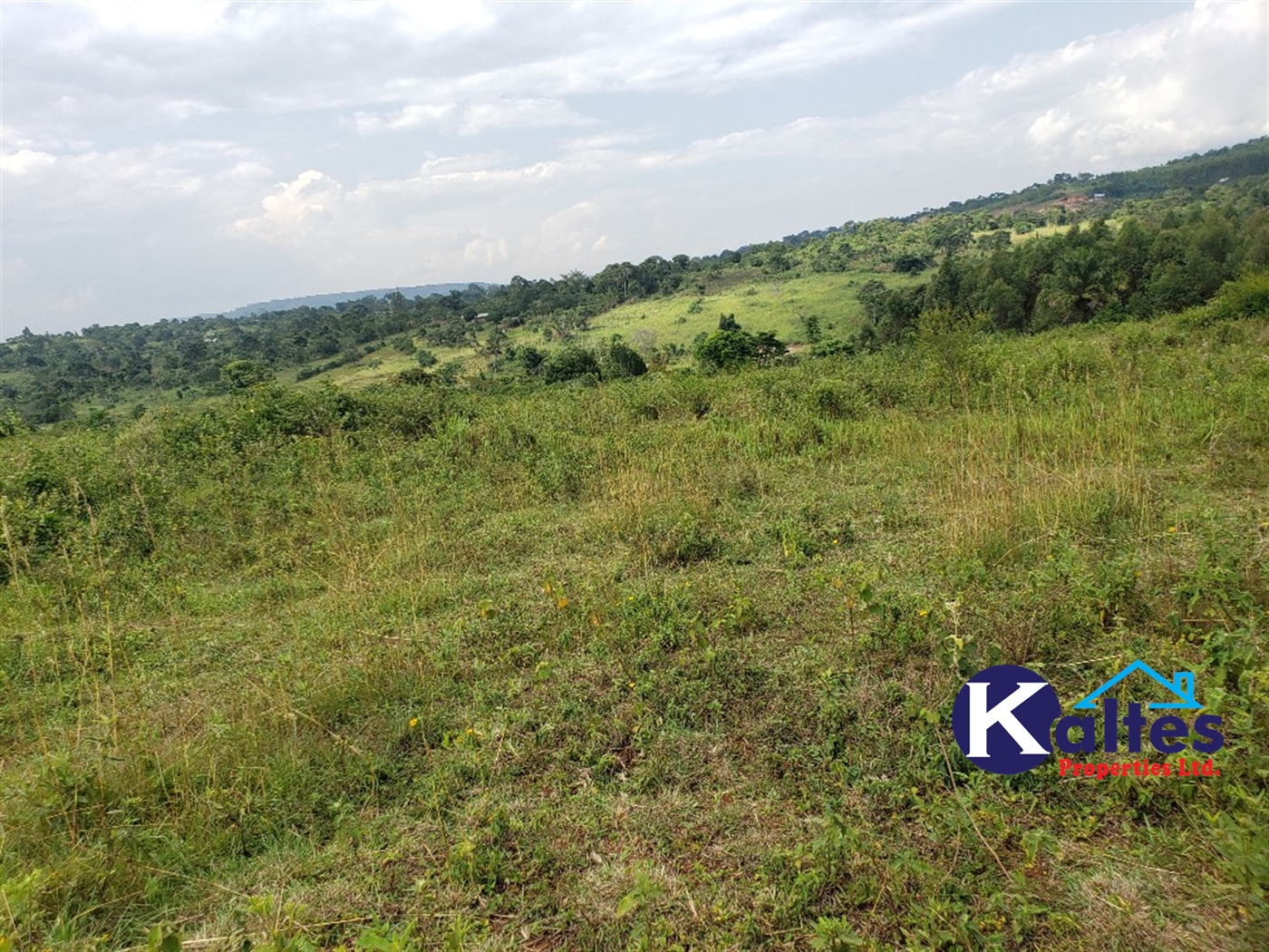 Agricultural Land for sale in Buyikwe Buyikwe