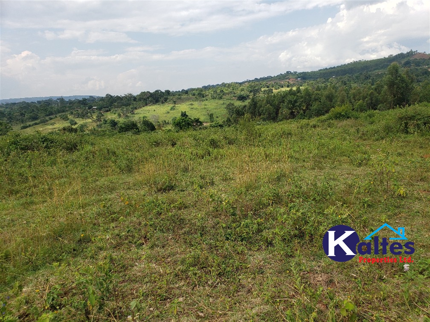 Agricultural Land for sale in Buyikwe Buyikwe