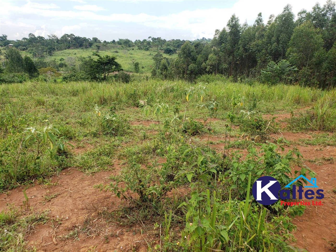 Agricultural Land for sale in Buyikwe Buyikwe