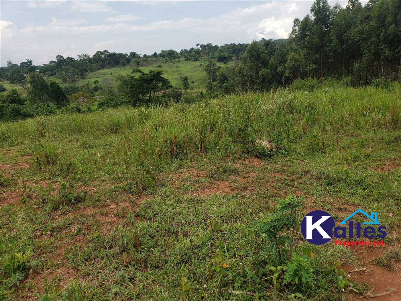 Agricultural Land for sale in Buyikwe Buyikwe