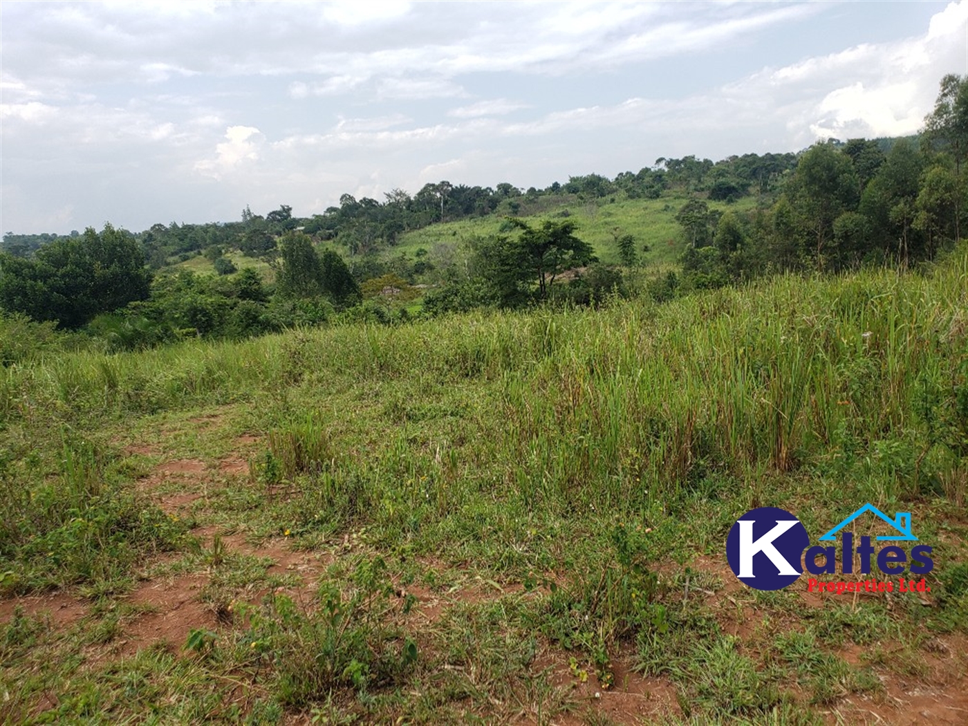 Agricultural Land for sale in Buyikwe Buyikwe