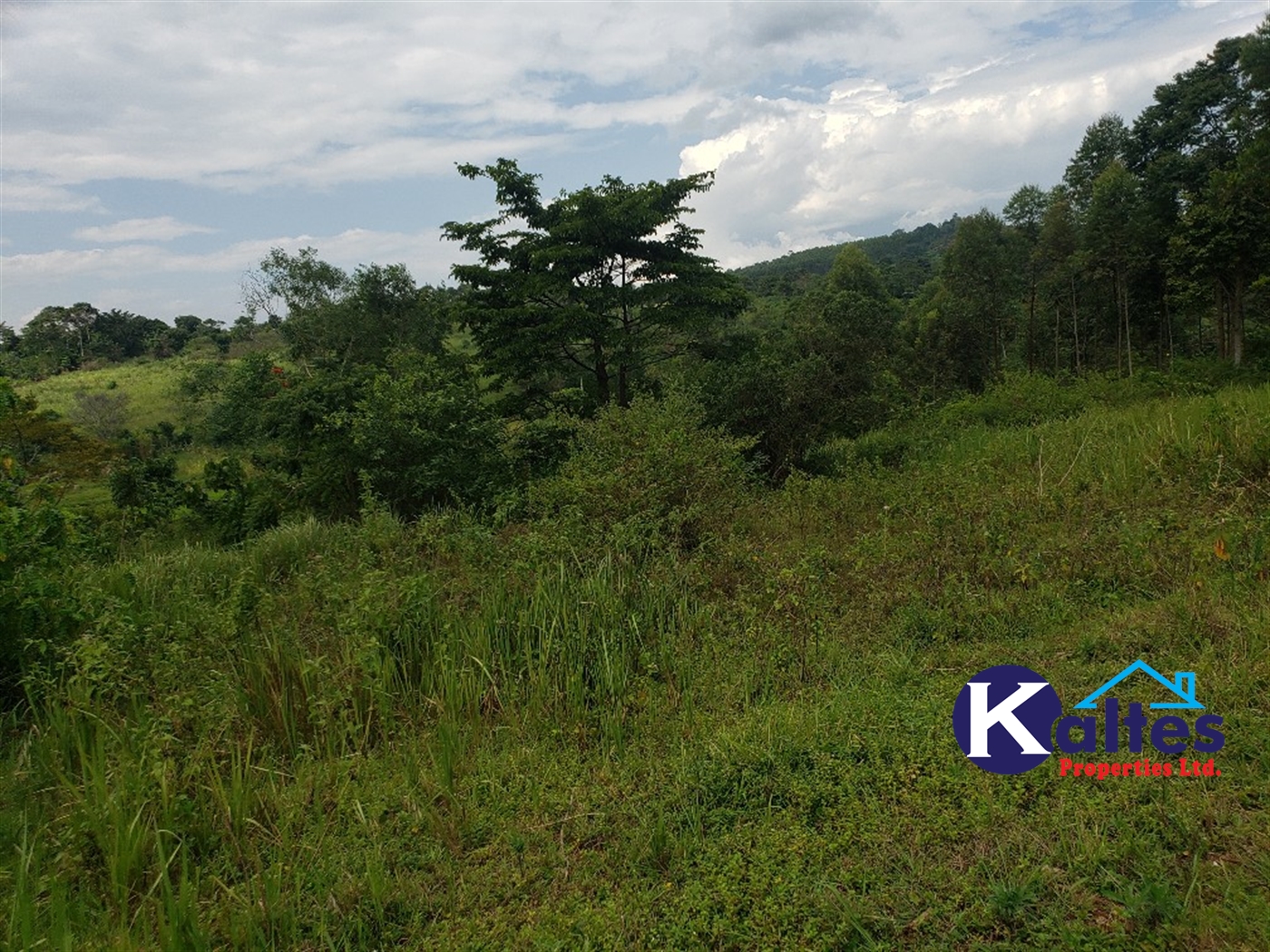 Agricultural Land for sale in Buyikwe Buyikwe