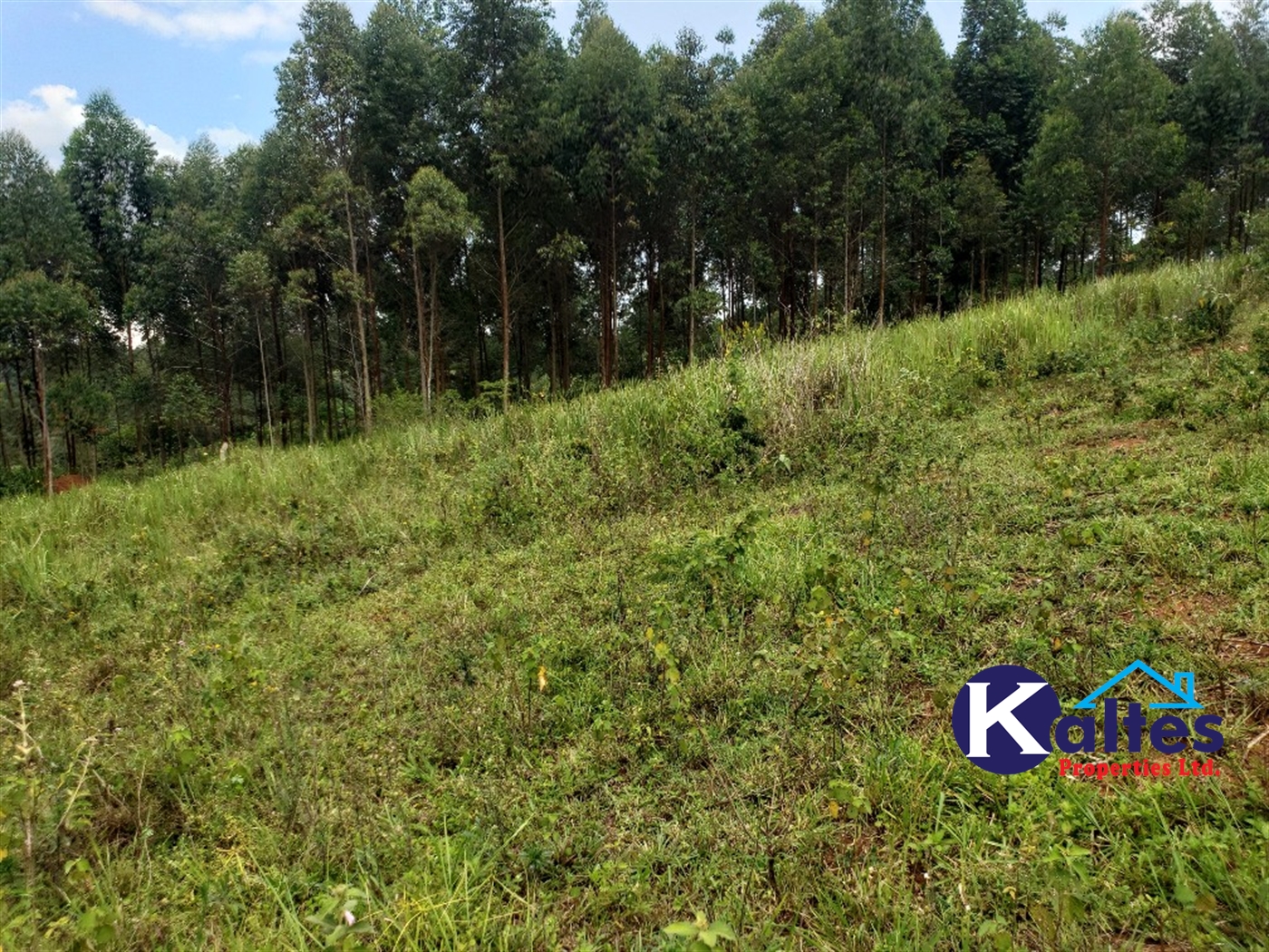 Agricultural Land for sale in Buyikwe Buyikwe