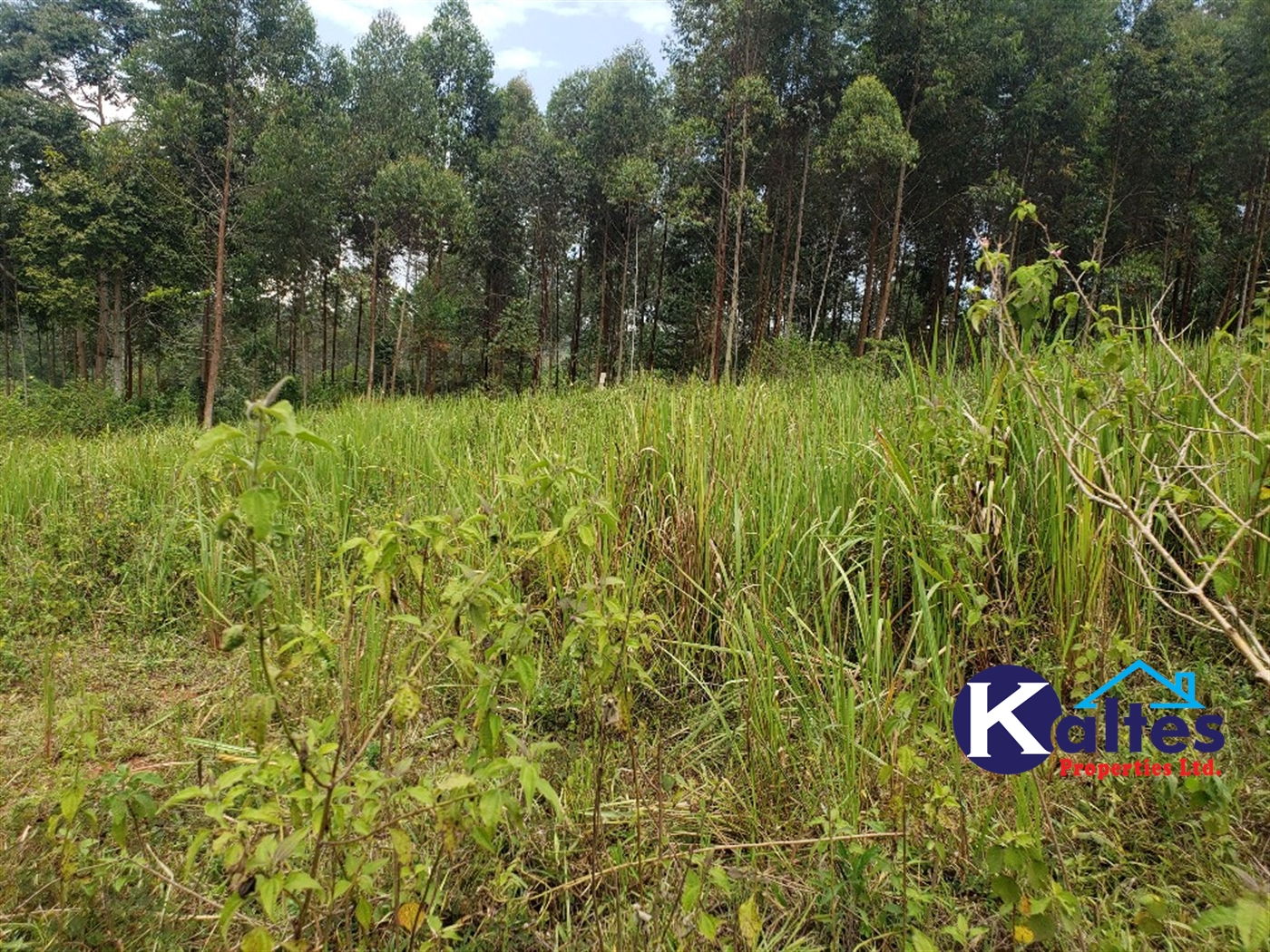 Agricultural Land for sale in Buyikwe Buyikwe