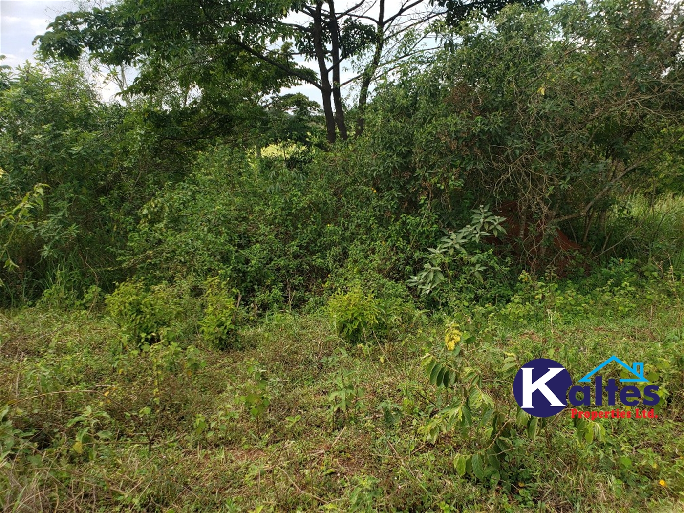 Agricultural Land for sale in Buyikwe Buyikwe