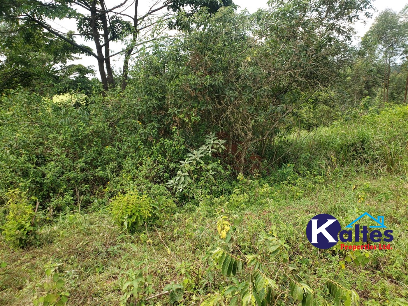 Agricultural Land for sale in Buyikwe Buyikwe