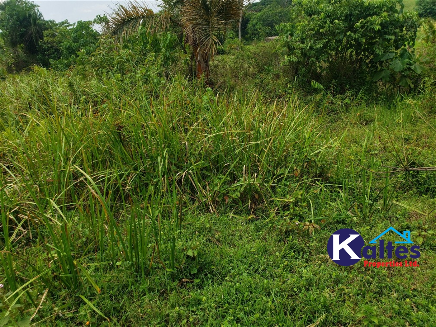 Agricultural Land for sale in Buyikwe Buyikwe