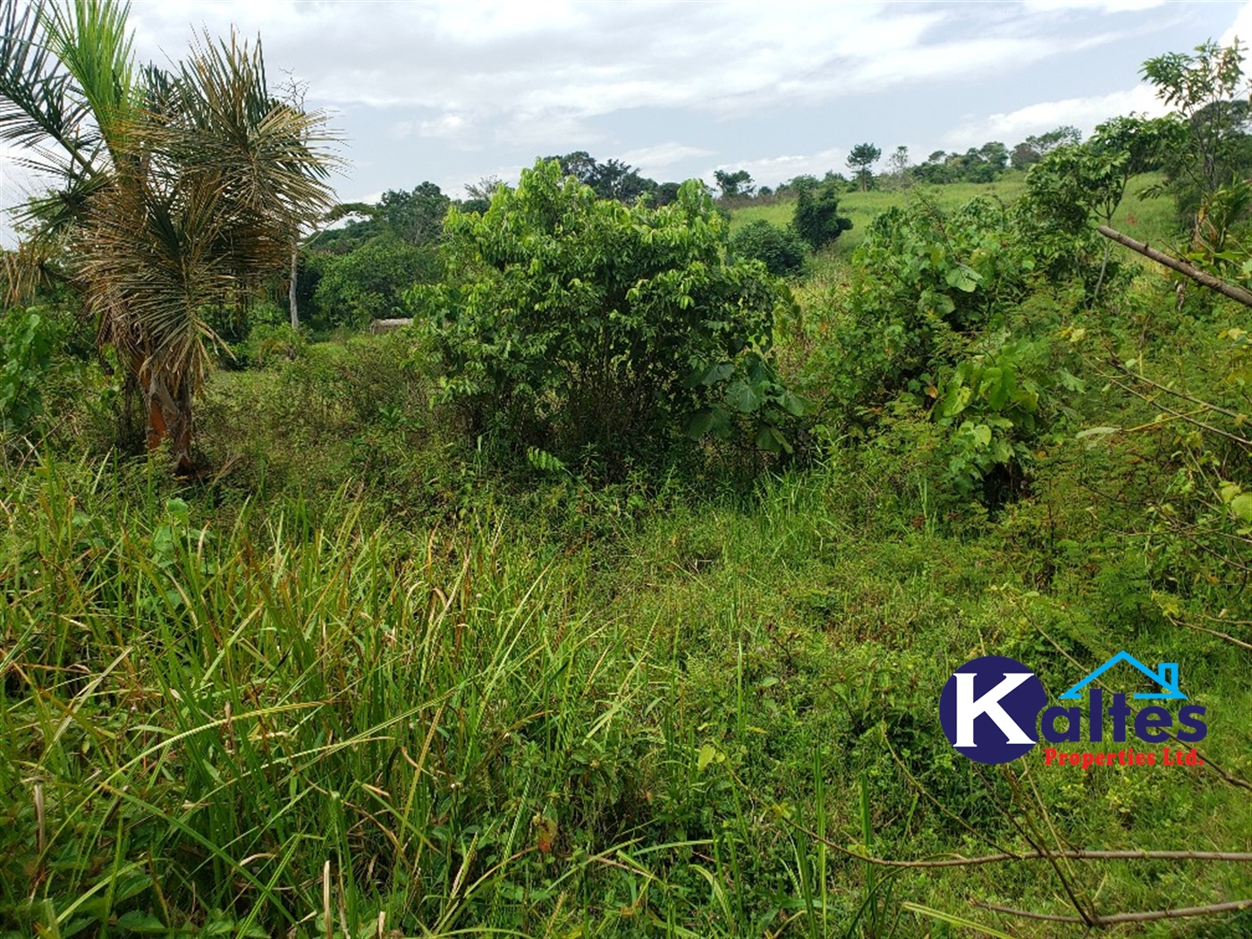 Agricultural Land for sale in Buyikwe Buyikwe