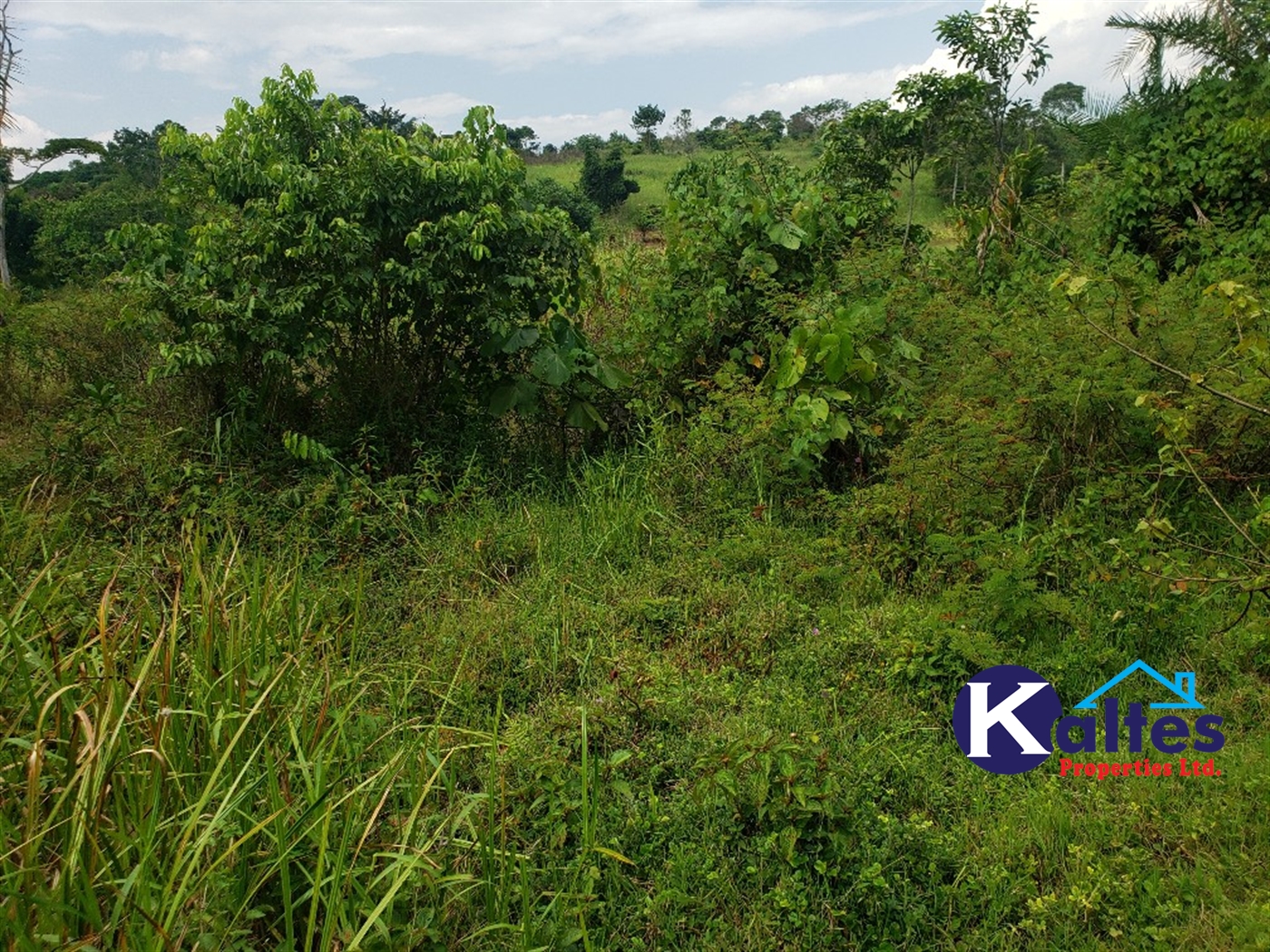 Agricultural Land for sale in Buyikwe Buyikwe