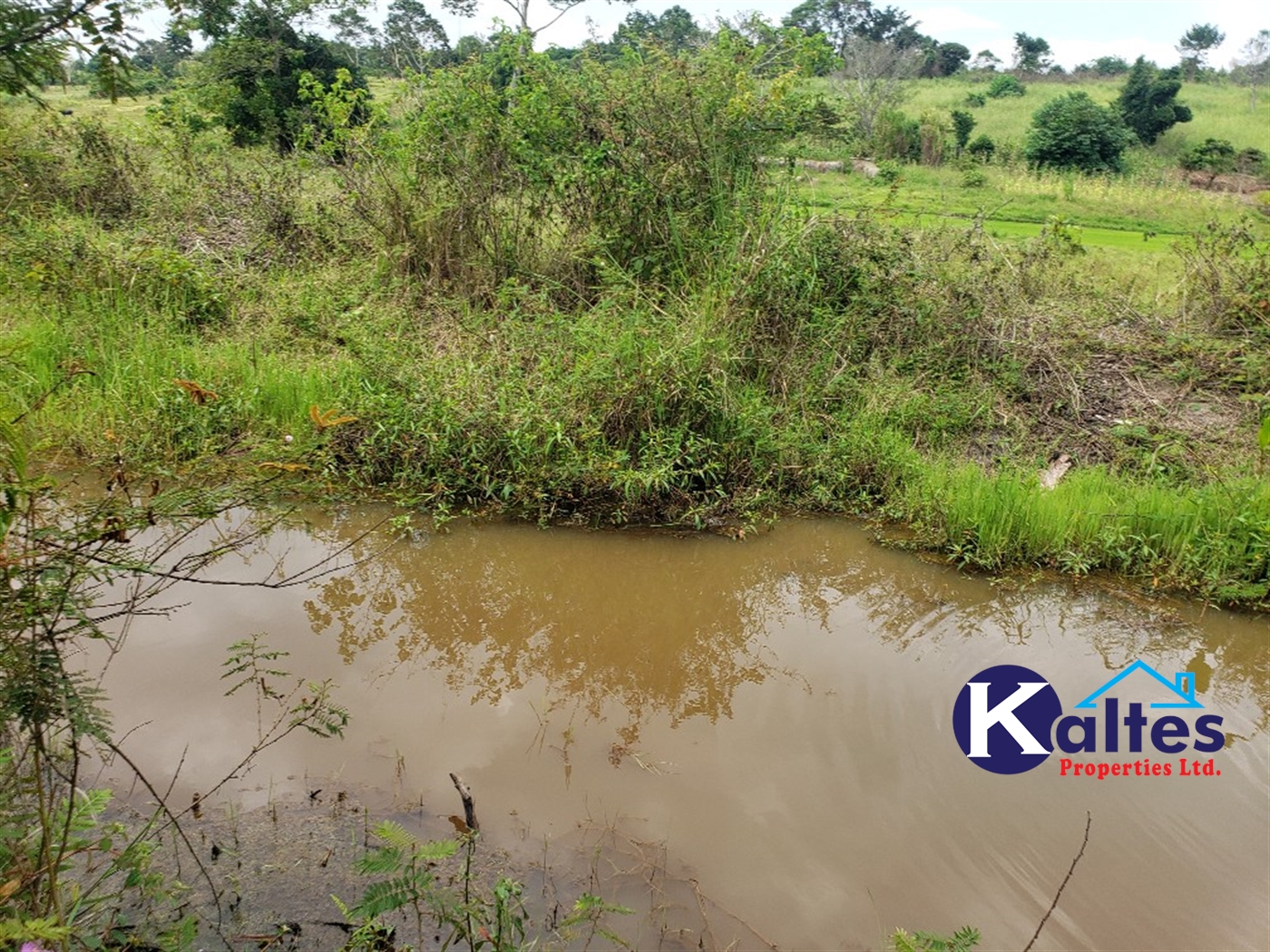 Agricultural Land for sale in Buyikwe Buyikwe