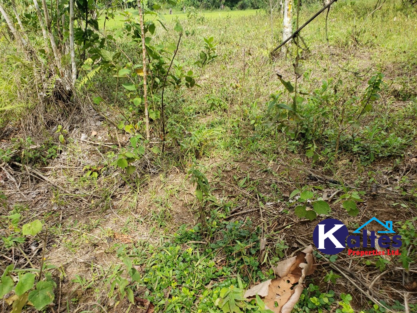 Agricultural Land for sale in Buyikwe Buyikwe