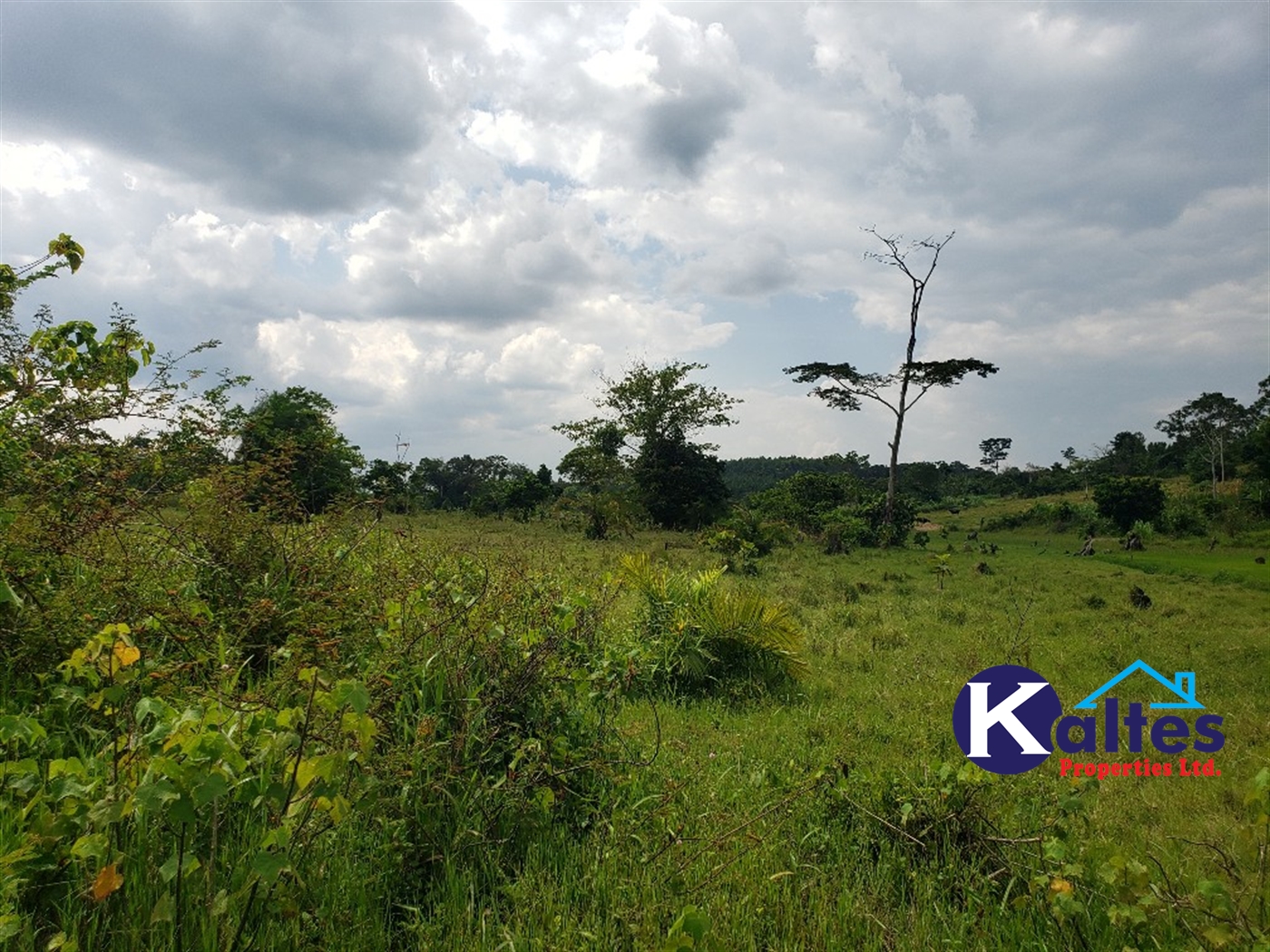 Agricultural Land for sale in Buyikwe Buyikwe