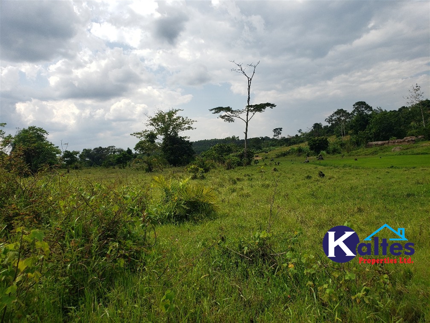 Agricultural Land for sale in Buyikwe Buyikwe