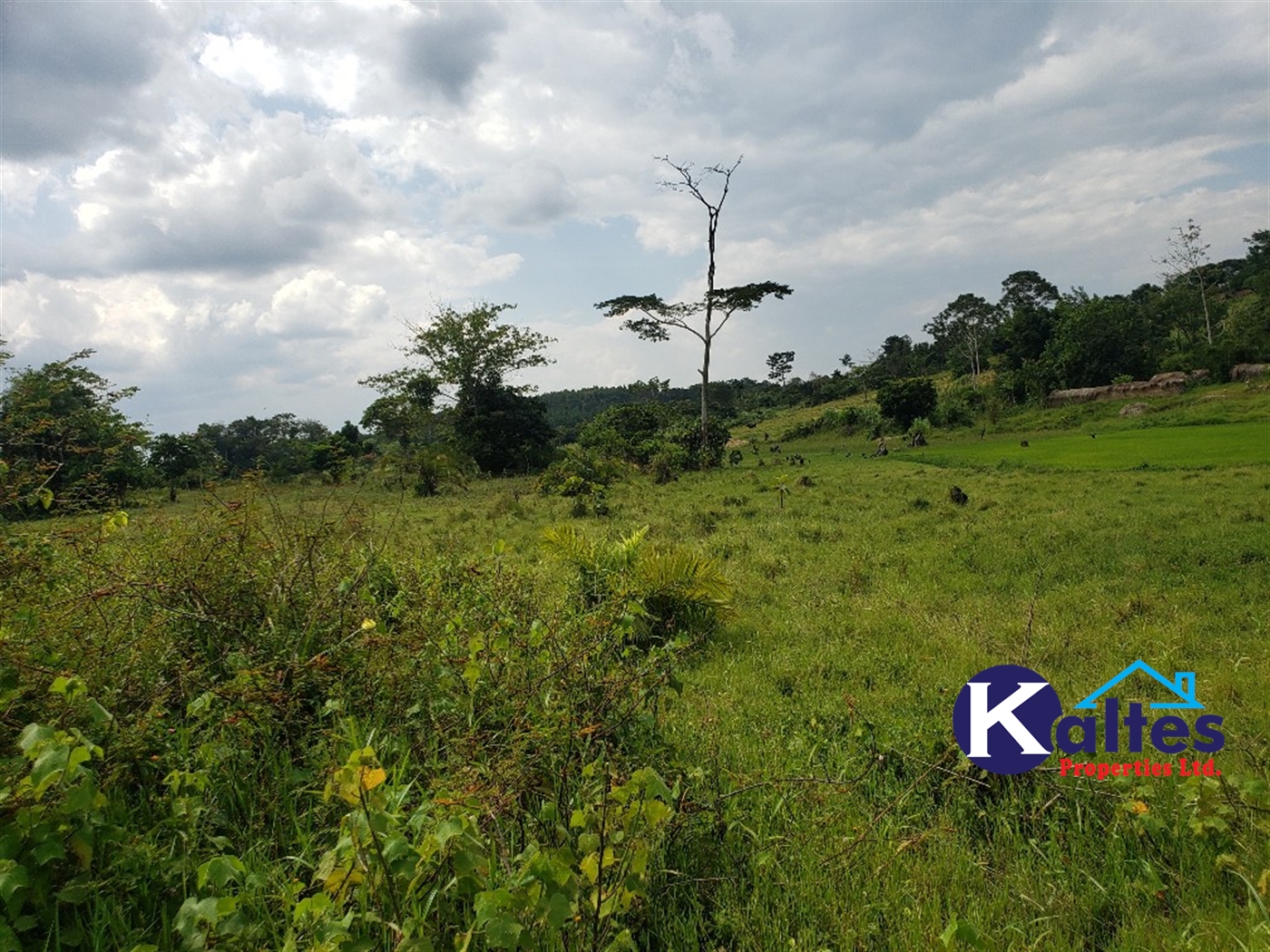 Agricultural Land for sale in Buyikwe Buyikwe