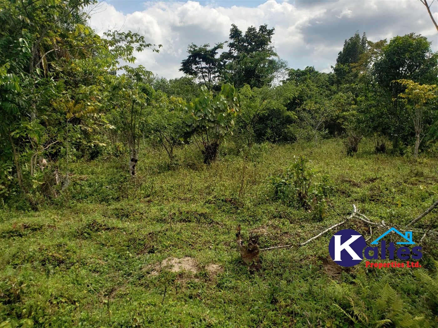 Agricultural Land for sale in Buyikwe Buyikwe