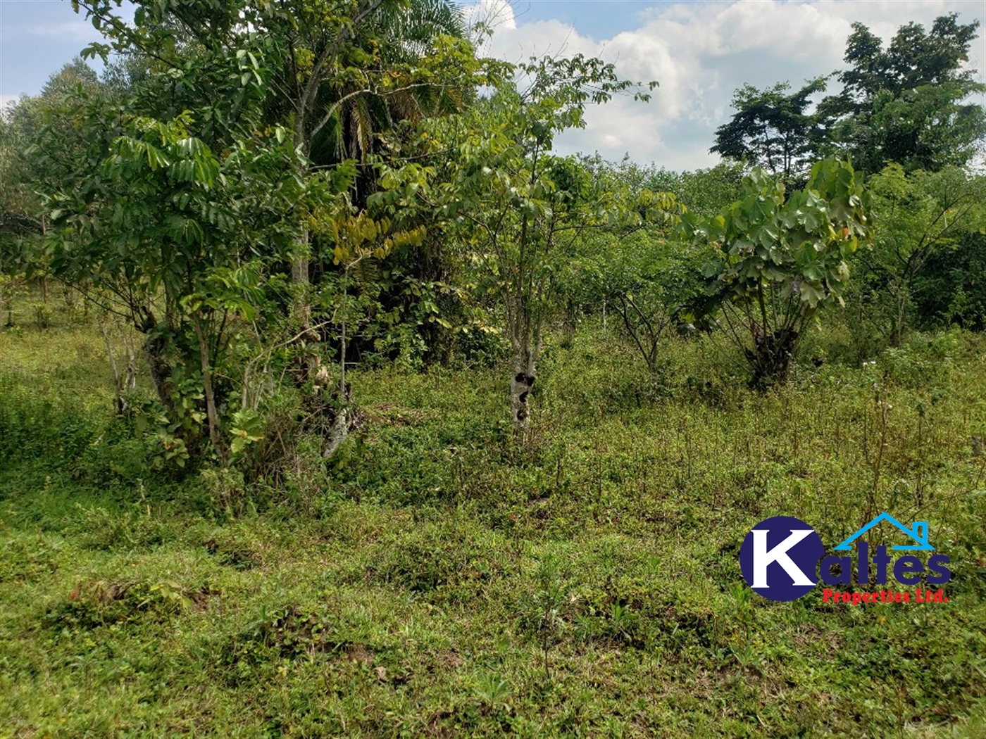 Agricultural Land for sale in Buyikwe Buyikwe