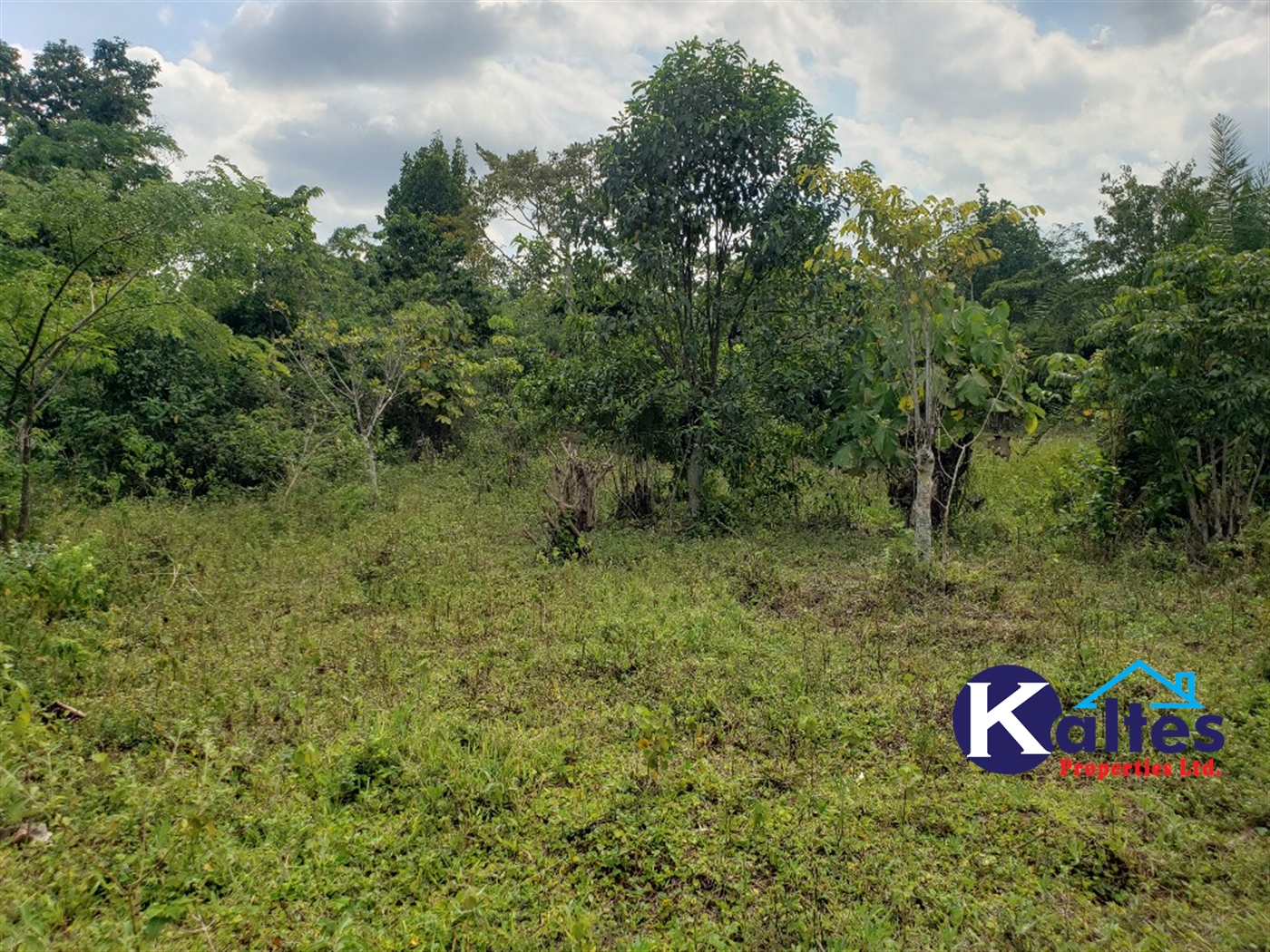 Agricultural Land for sale in Buyikwe Buyikwe