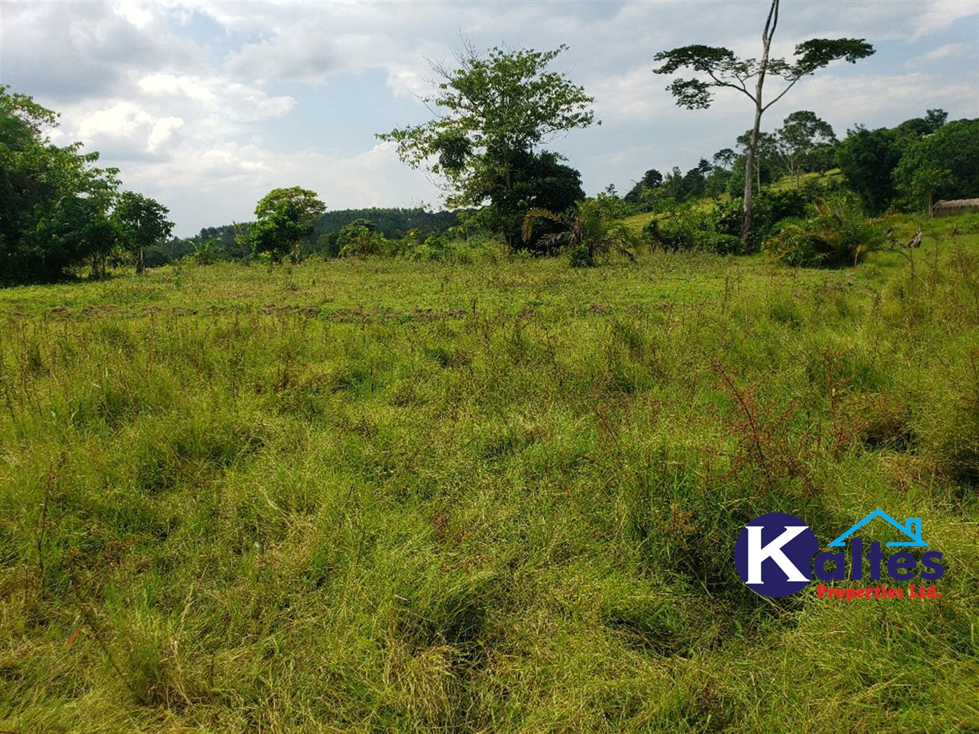 Agricultural Land for sale in Buyikwe Buyikwe