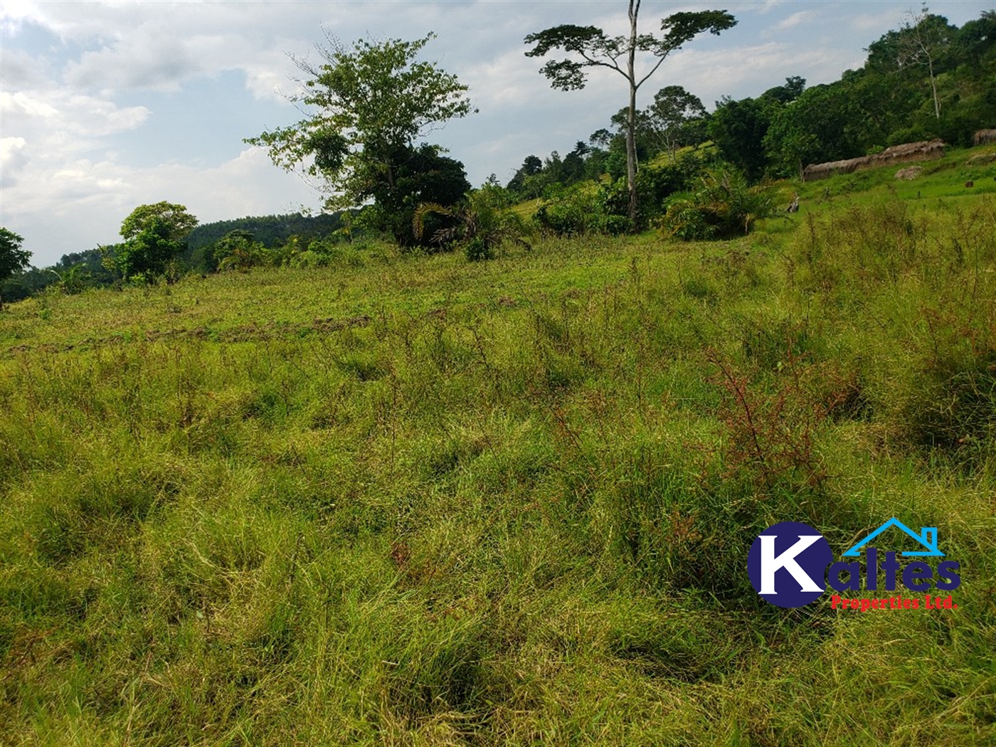 Agricultural Land for sale in Buyikwe Buyikwe