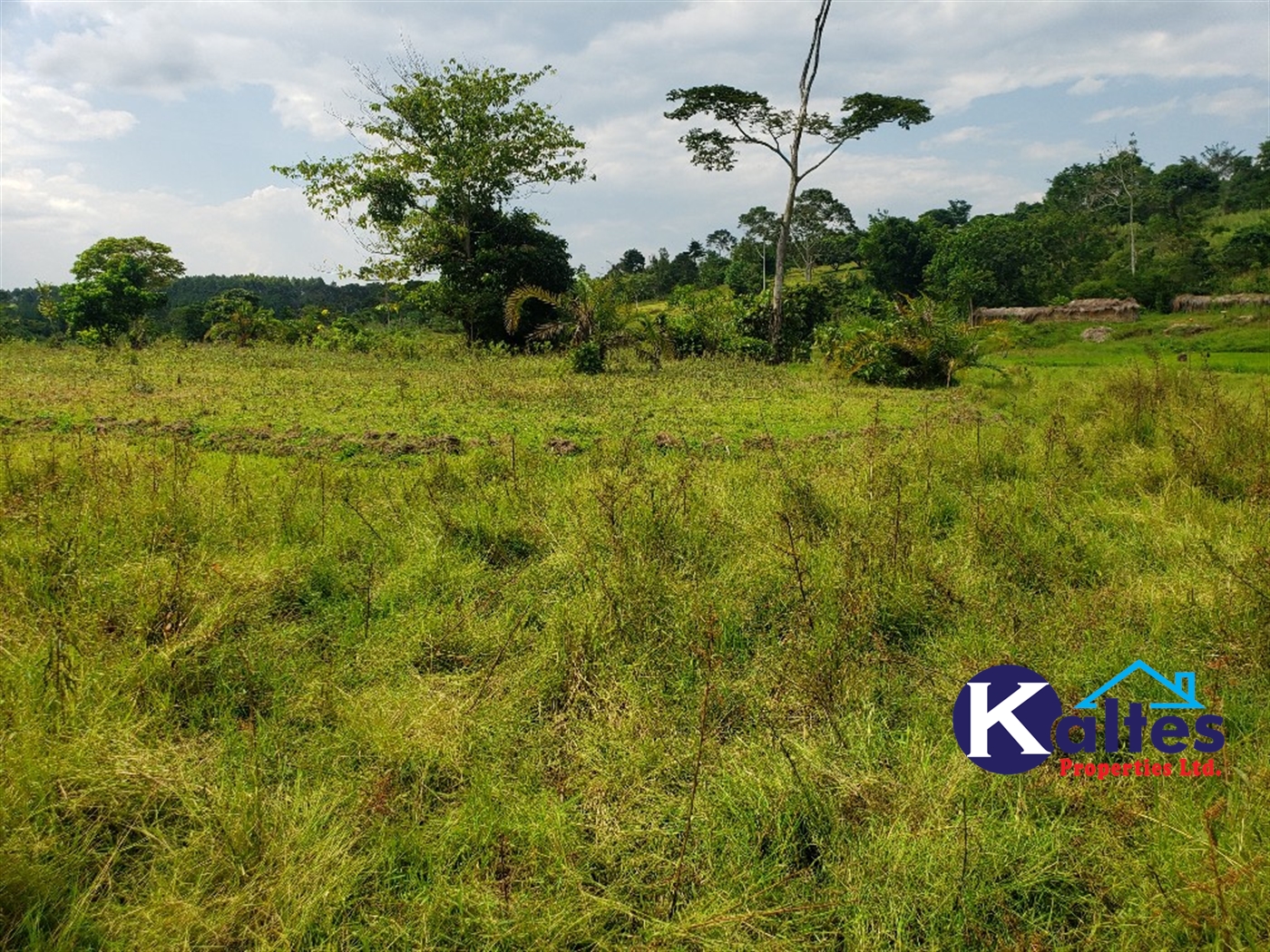 Agricultural Land for sale in Buyikwe Buyikwe