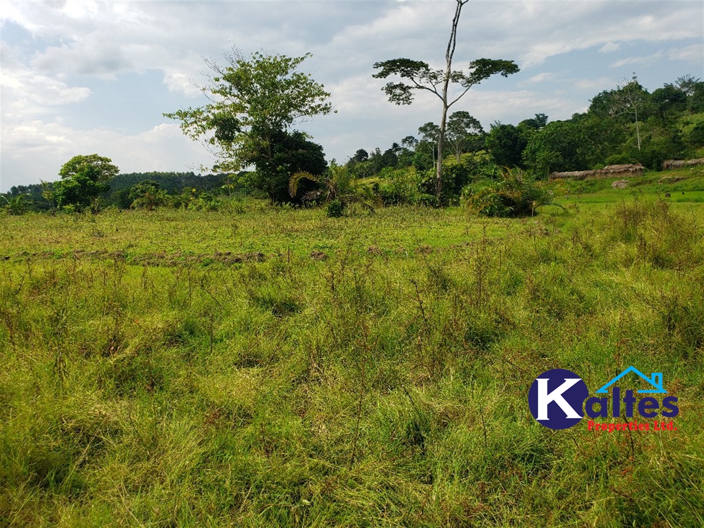 Agricultural Land for sale in Buyikwe Buyikwe