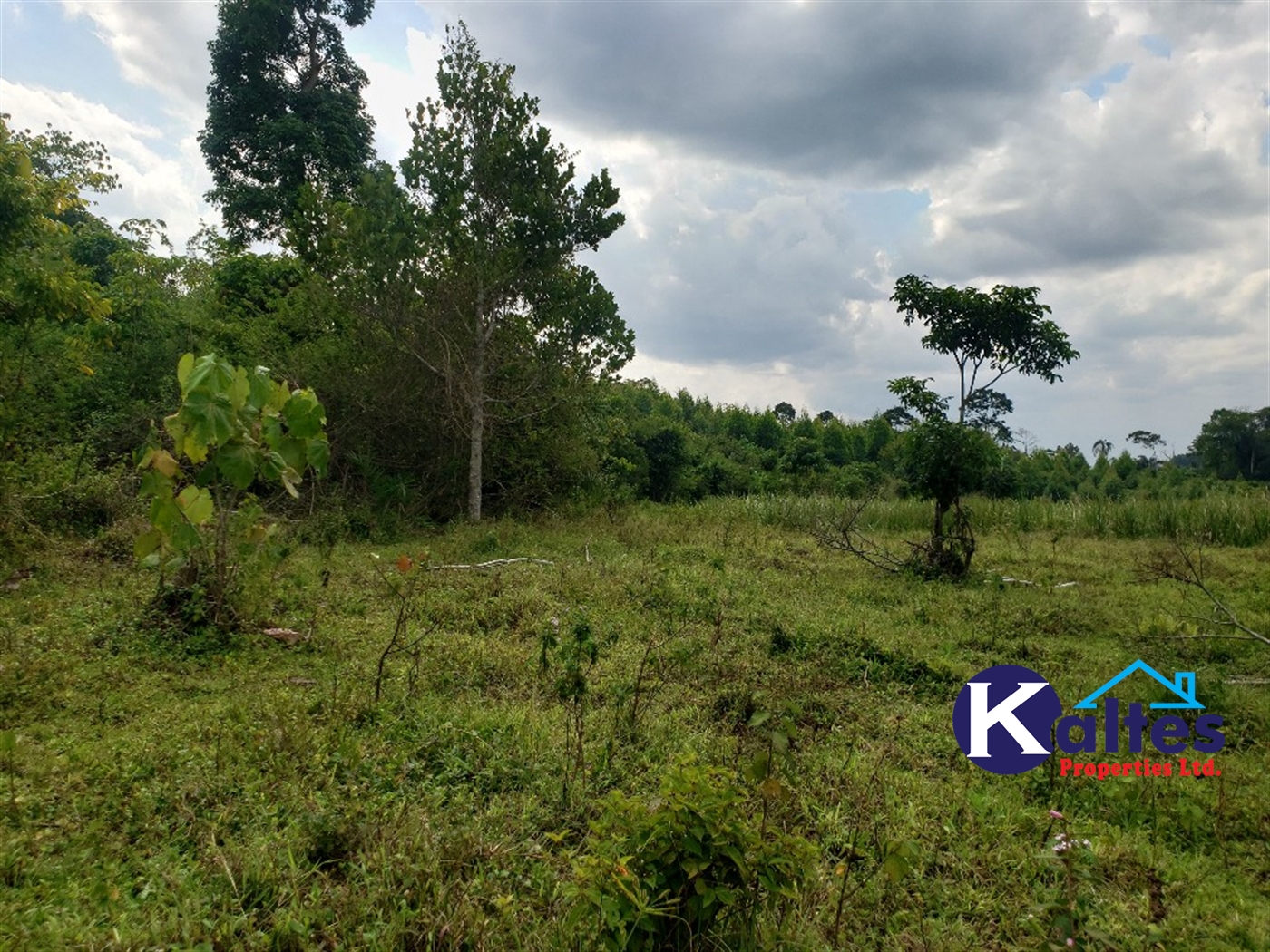 Agricultural Land for sale in Kisoga Mukono