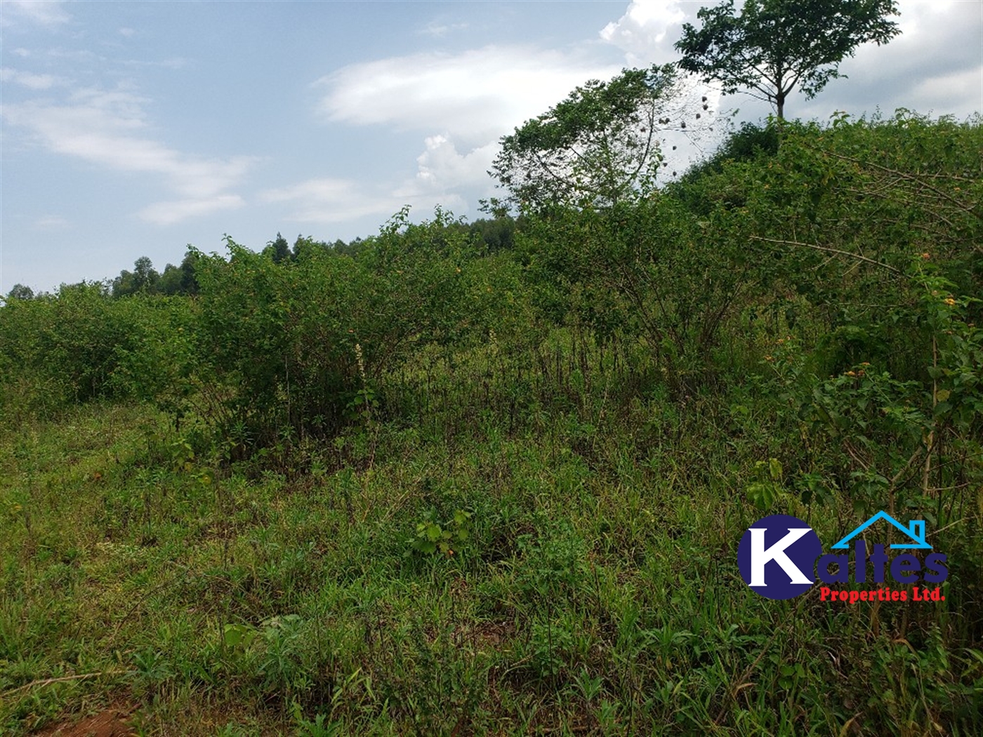 Agricultural Land for sale in Kisoga Mukono