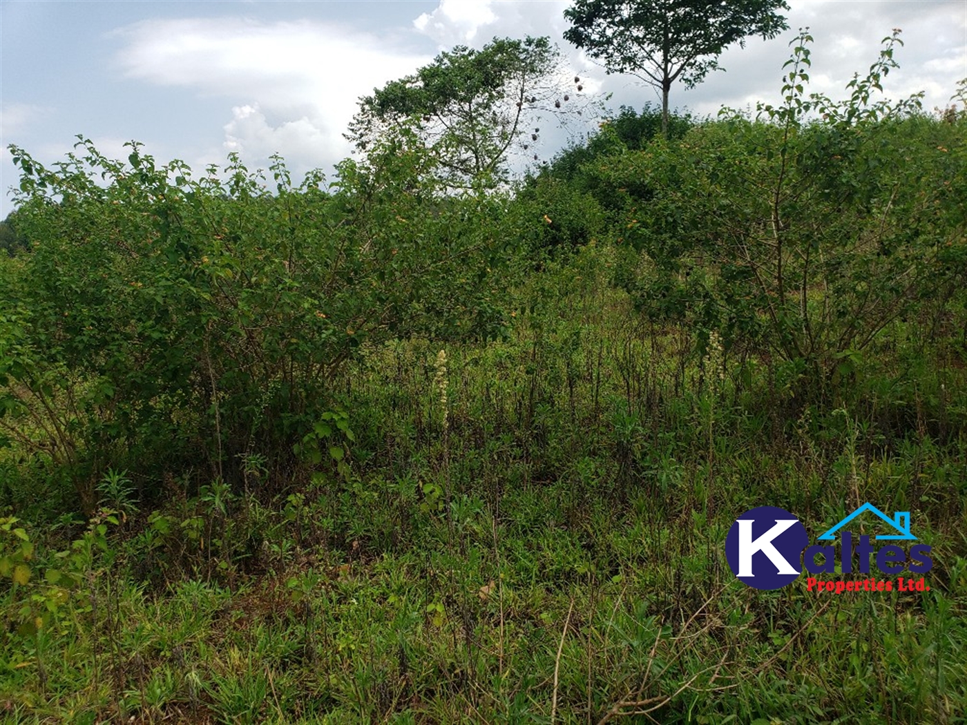 Agricultural Land for sale in Kisoga Mukono