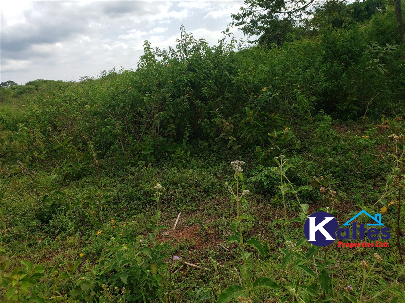 Agricultural Land for sale in Kisoga Mukono