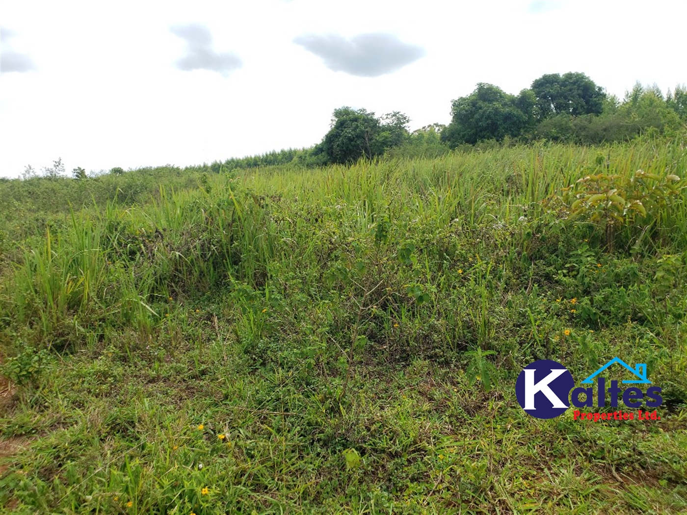 Agricultural Land for sale in Kisoga Mukono