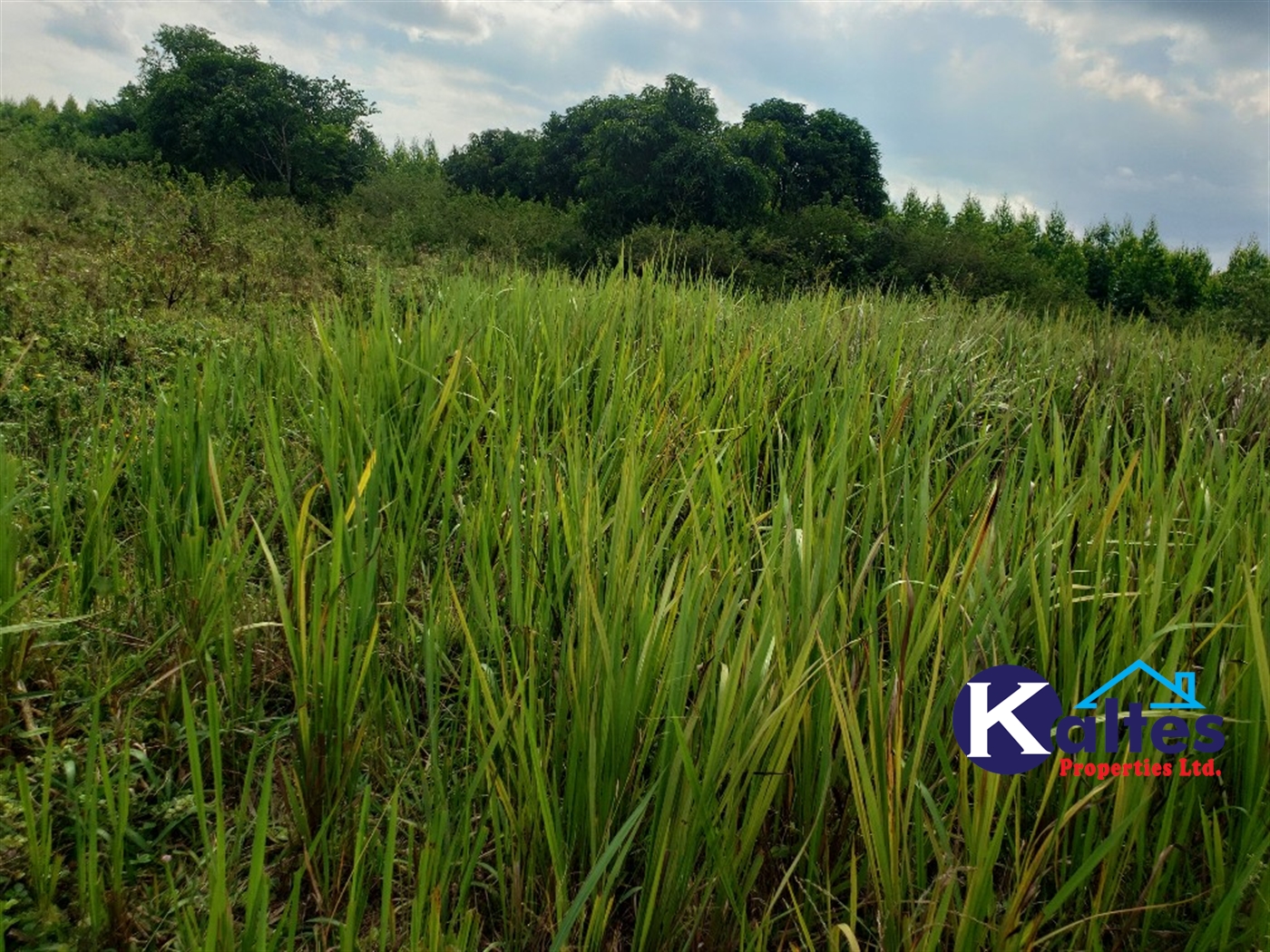 Agricultural Land for sale in Kisoga Mukono