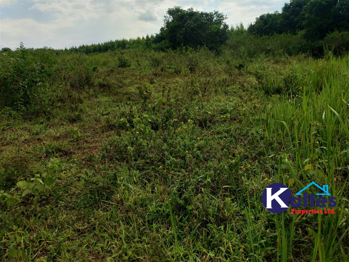 Agricultural Land for sale in Kisoga Mukono