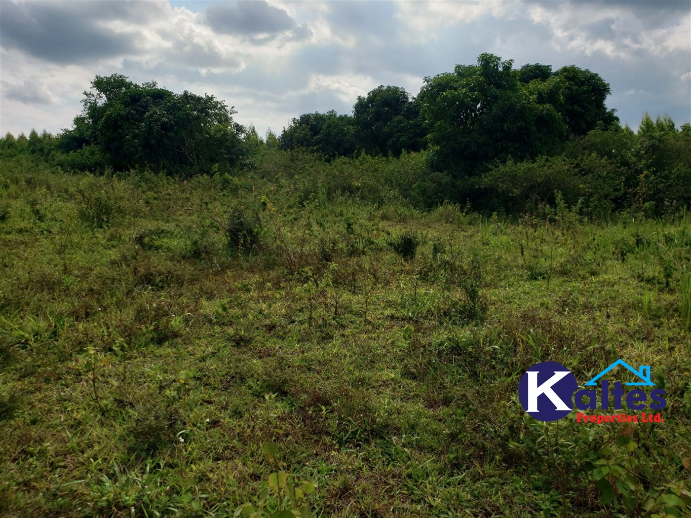 Agricultural Land for sale in Kisoga Mukono