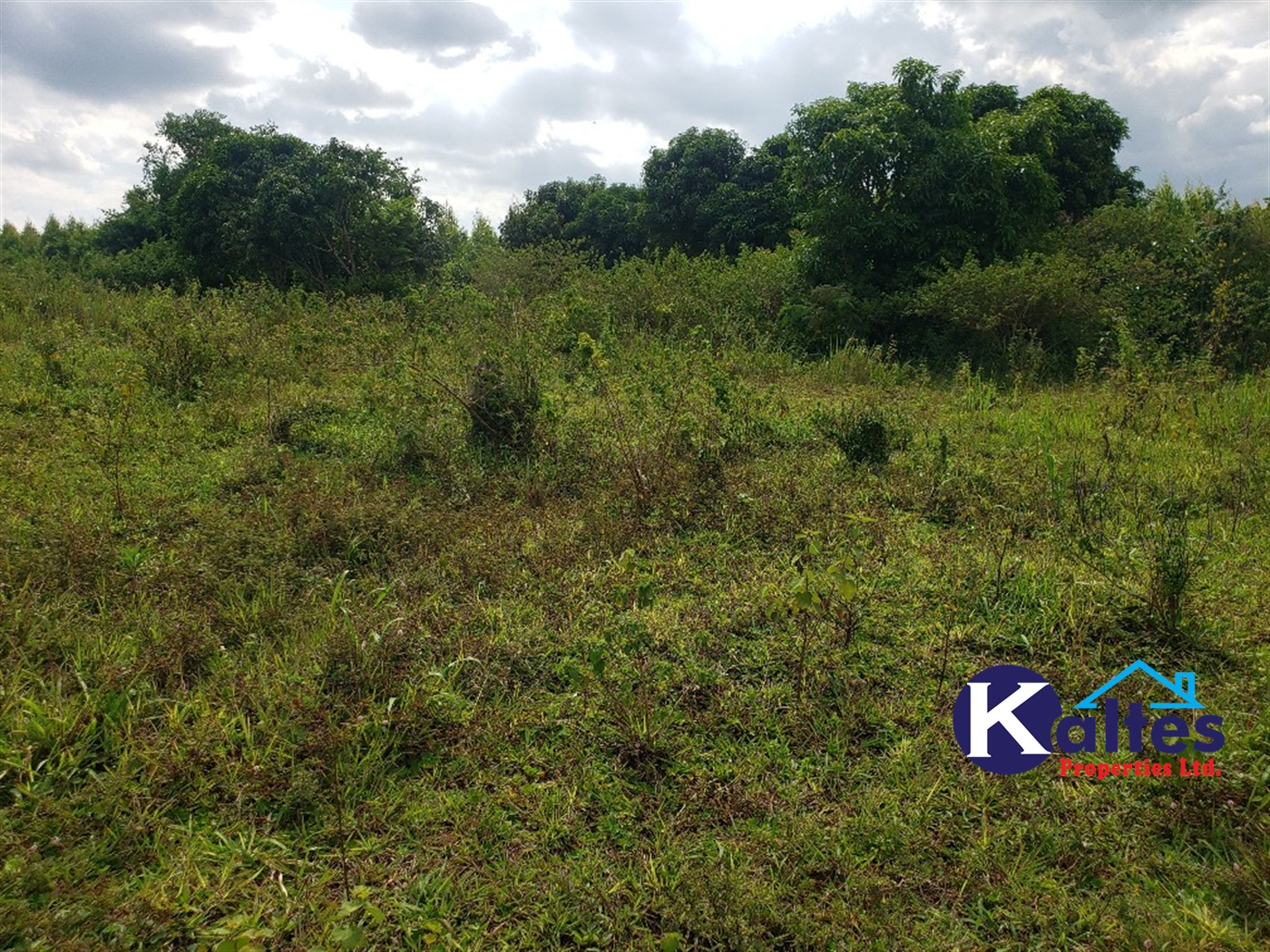 Agricultural Land for sale in Kisoga Mukono