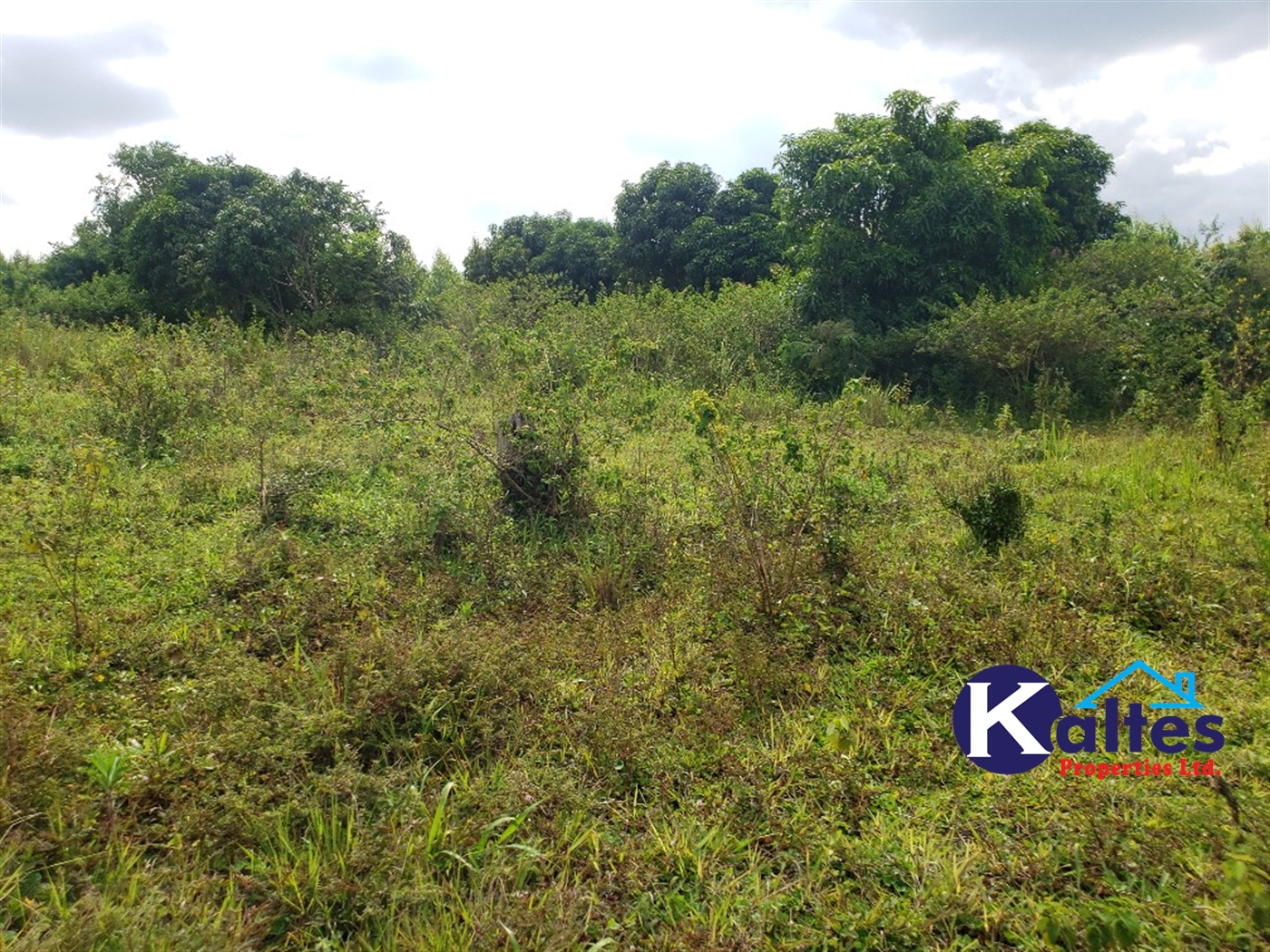 Agricultural Land for sale in Kisoga Mukono