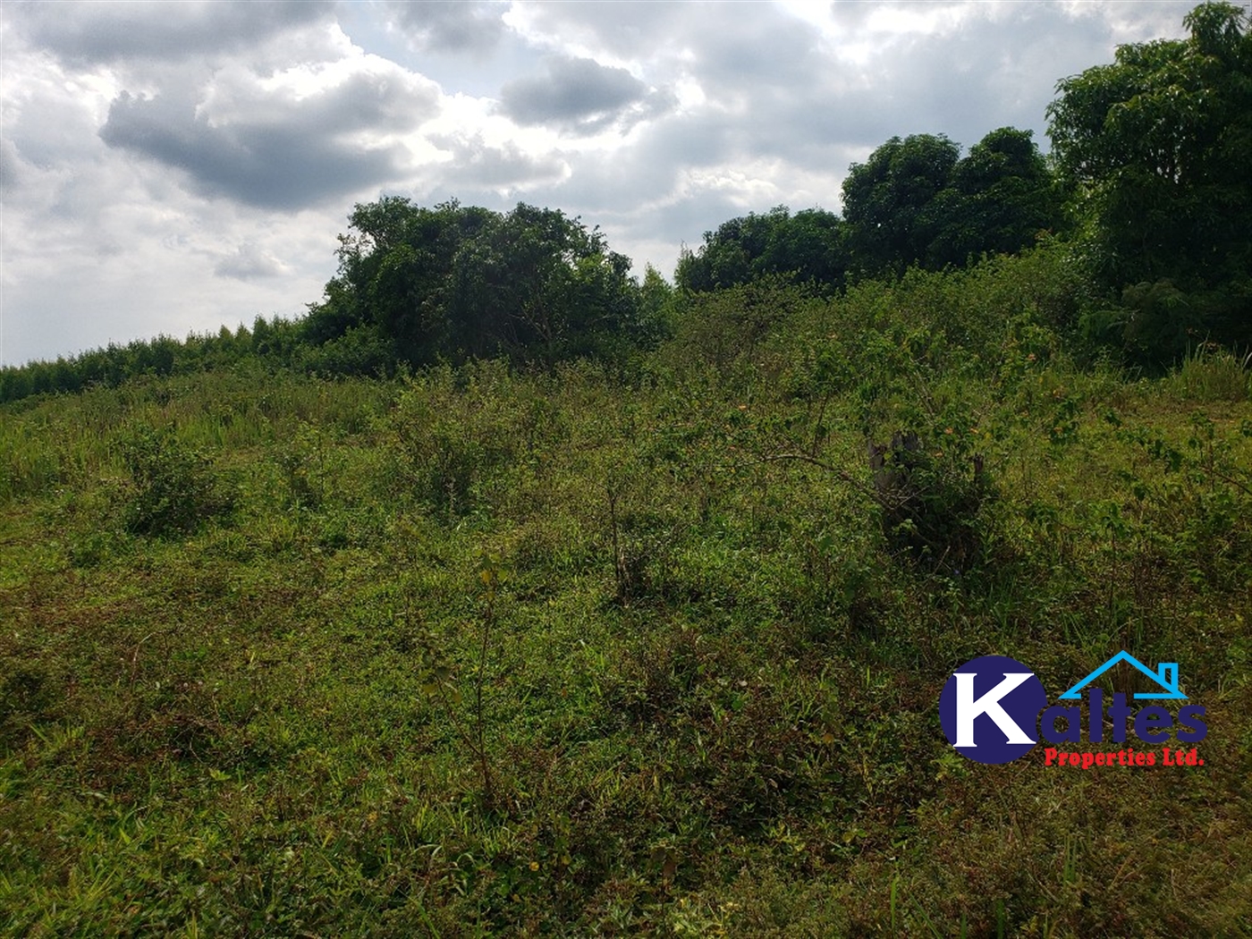 Agricultural Land for sale in Kisoga Mukono